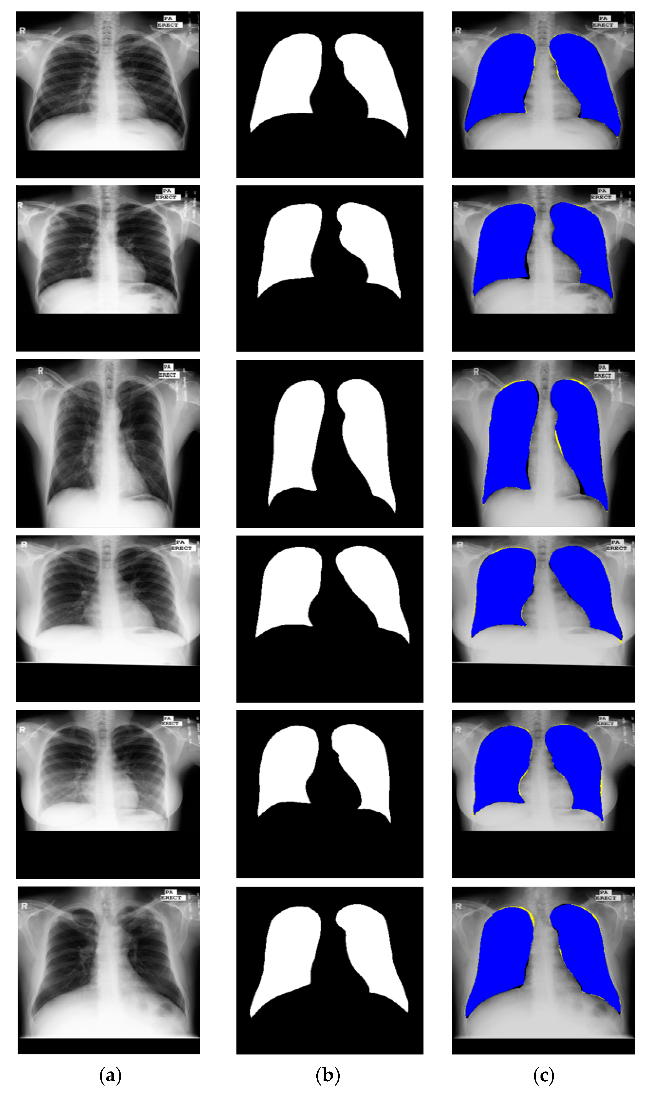 Jcm 09 00871 g009 Jcm 09 00871 g009