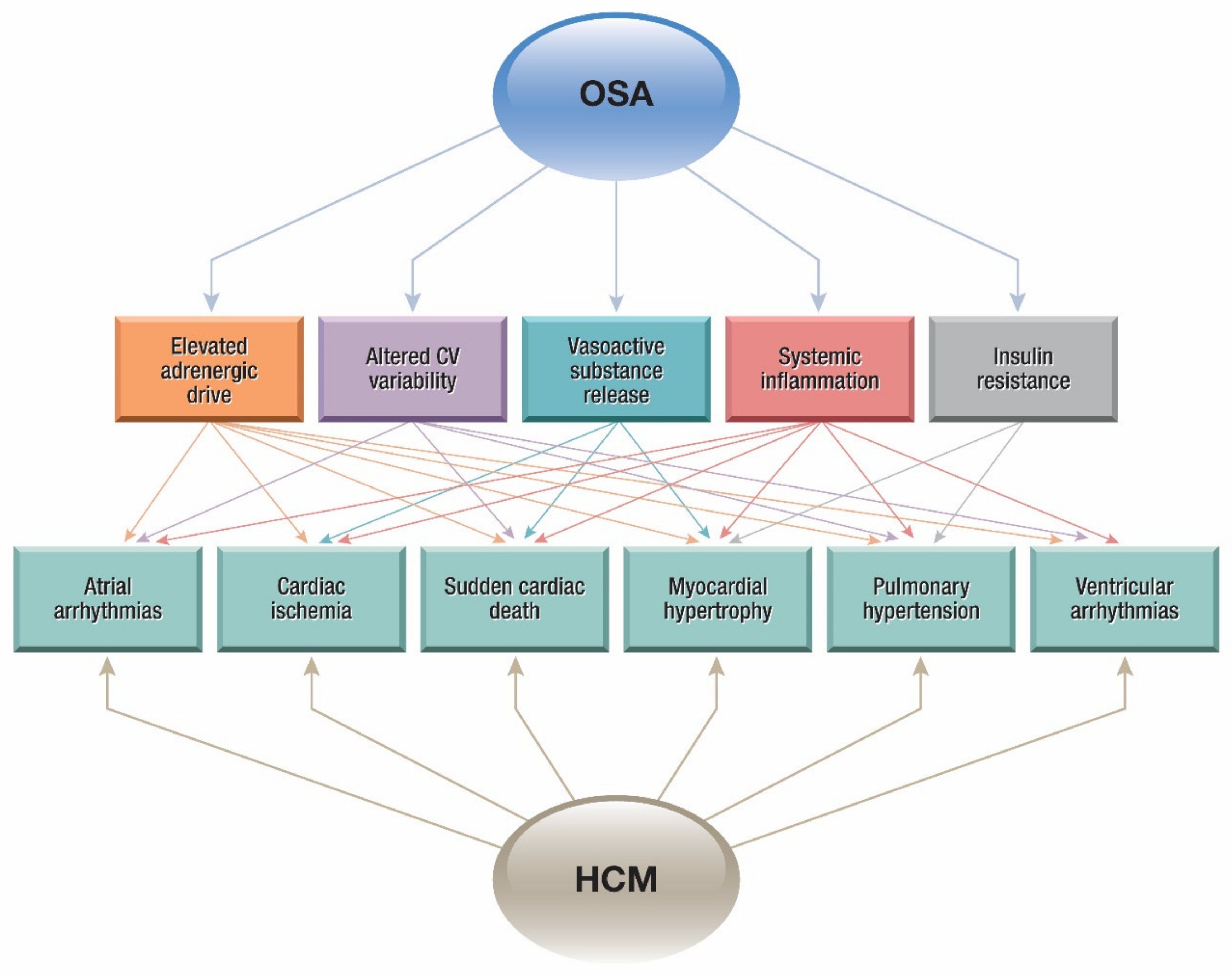 Jcm 09 00901 g002 Jcm 09 00901 g002