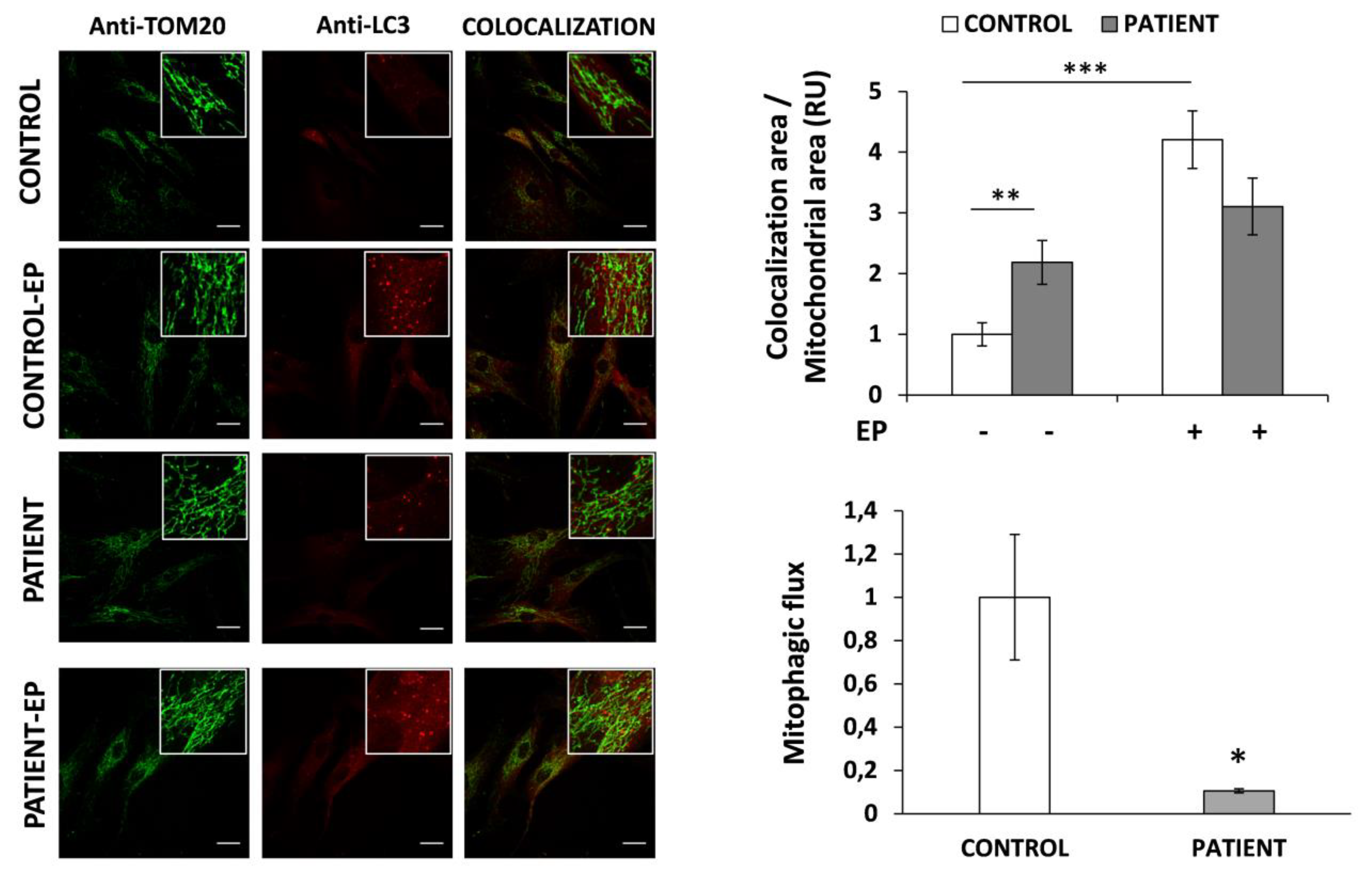 Jcm 09 00913 g004 Jcm 09 00913 g004