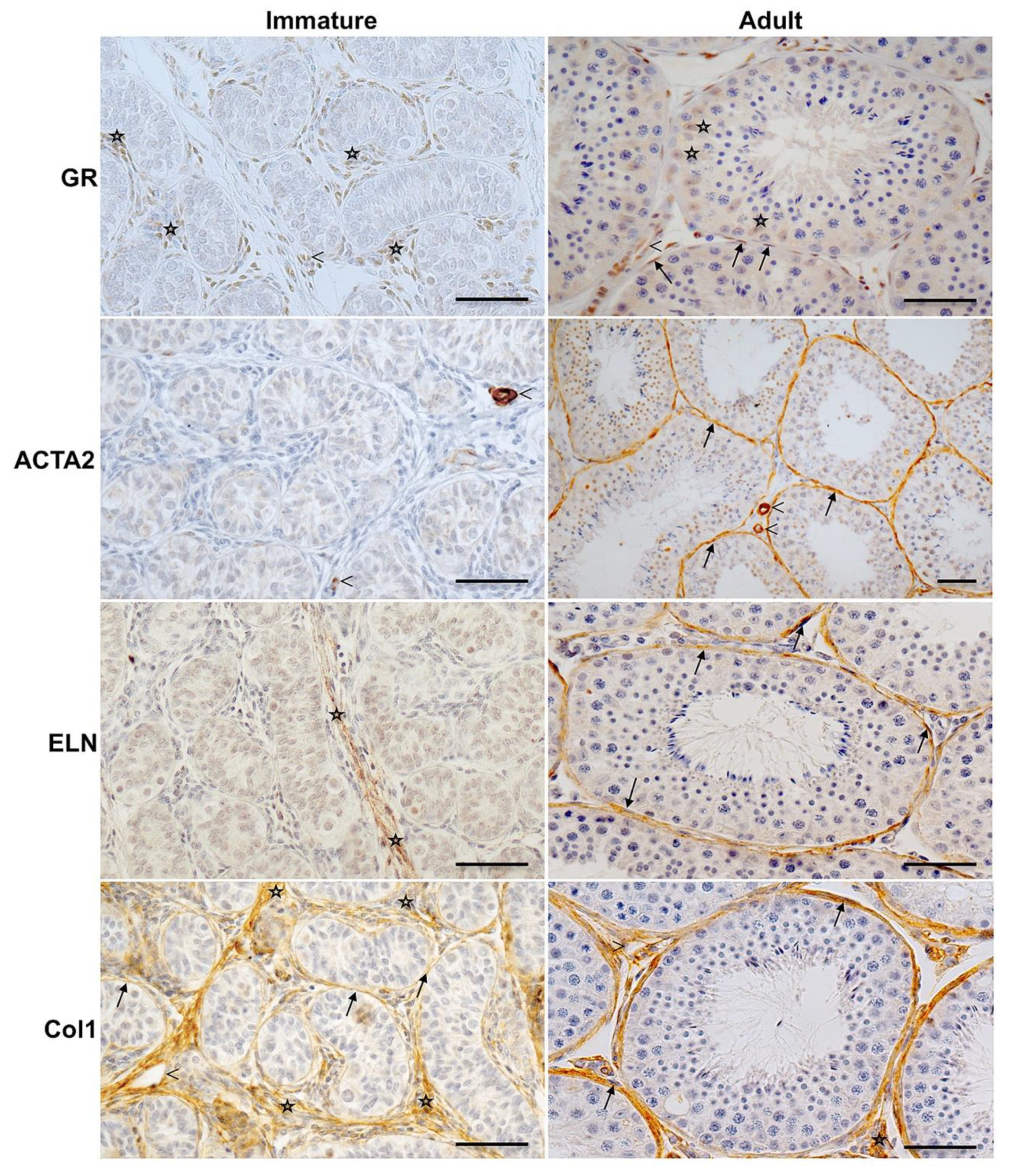 Jcm 09 00961 g002 Jcm 09 00961 g002