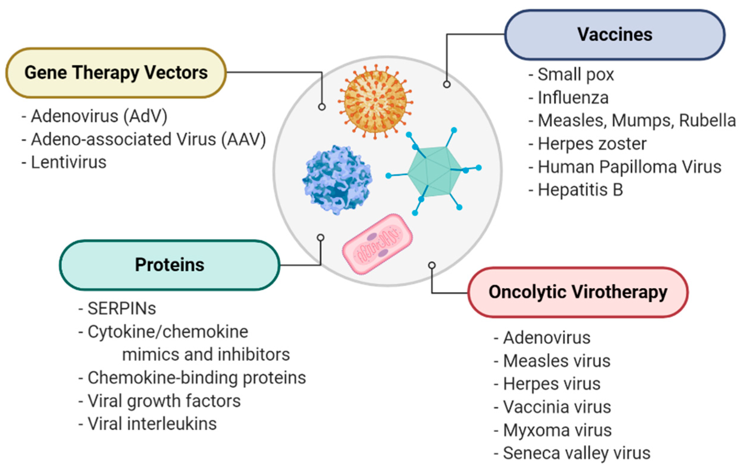 Papillomavirus oncolytic virus