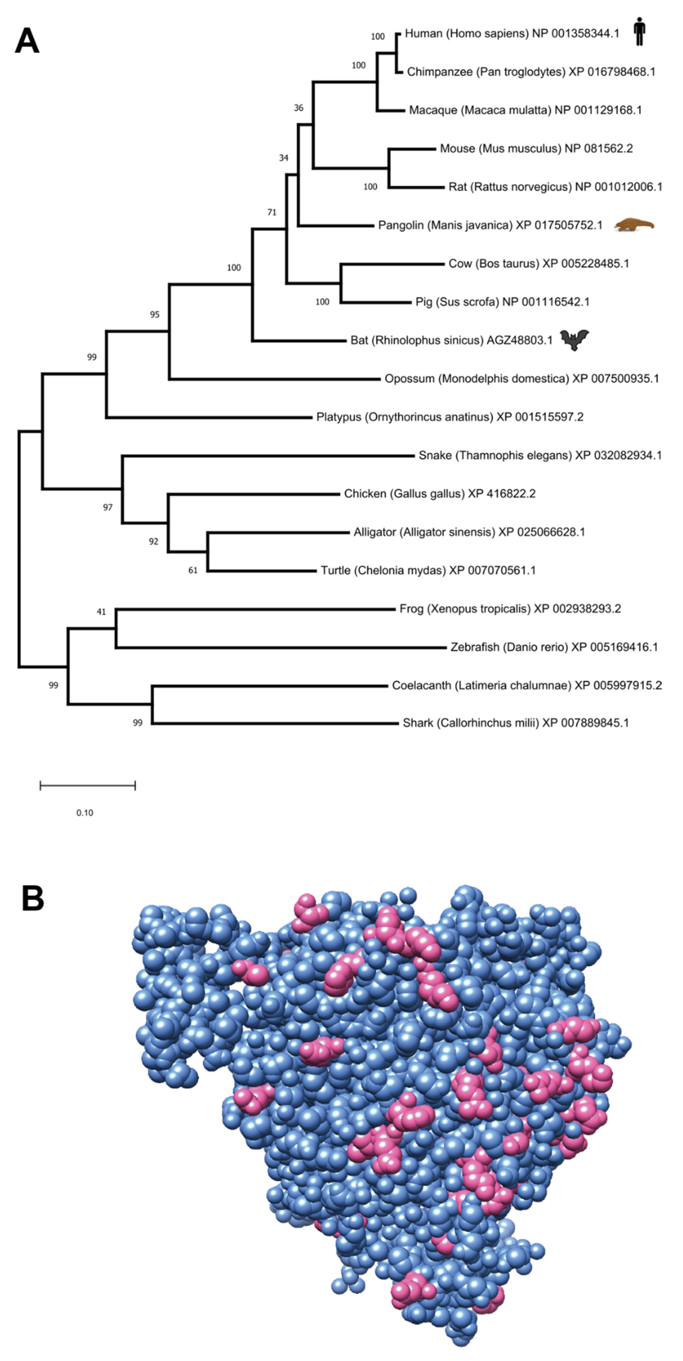 Jcm 09 00982 g004 Jcm 09 00982 g004