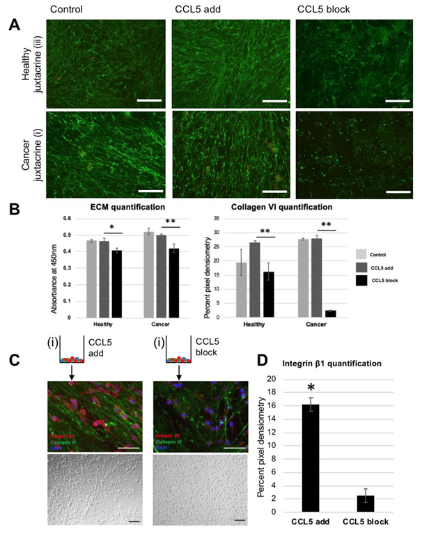 Jcm 09 00991 g004 Jcm 09 00991 g004