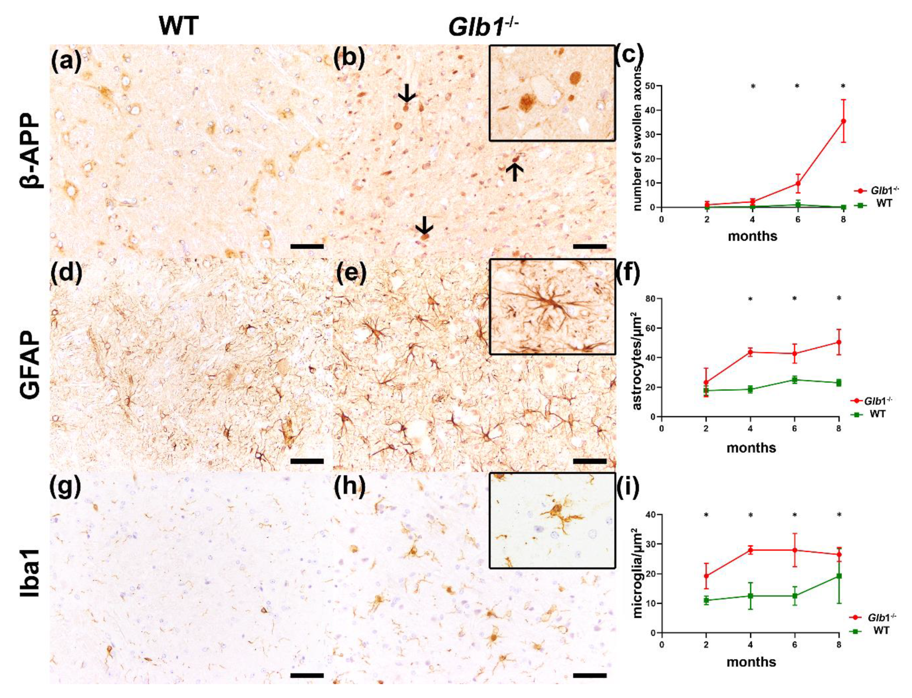 Jcm 09 01004 g003 Jcm 09 01004 g003