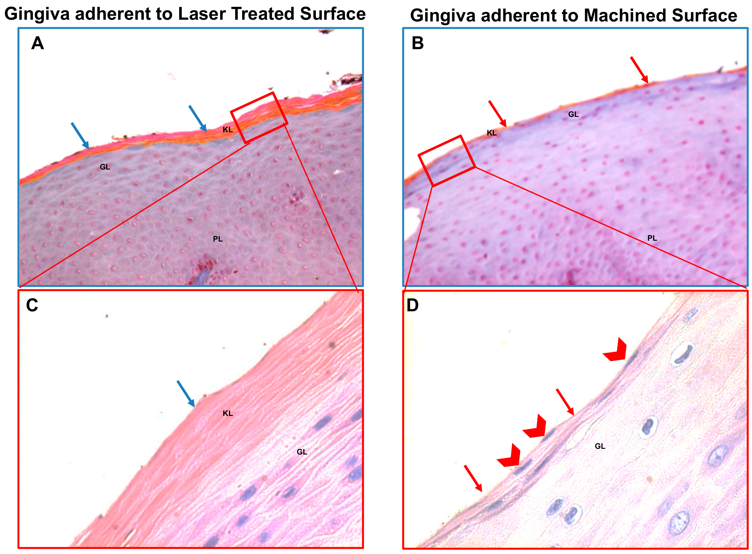Jcm 09 01009 g004 Jcm 09 01009 g004