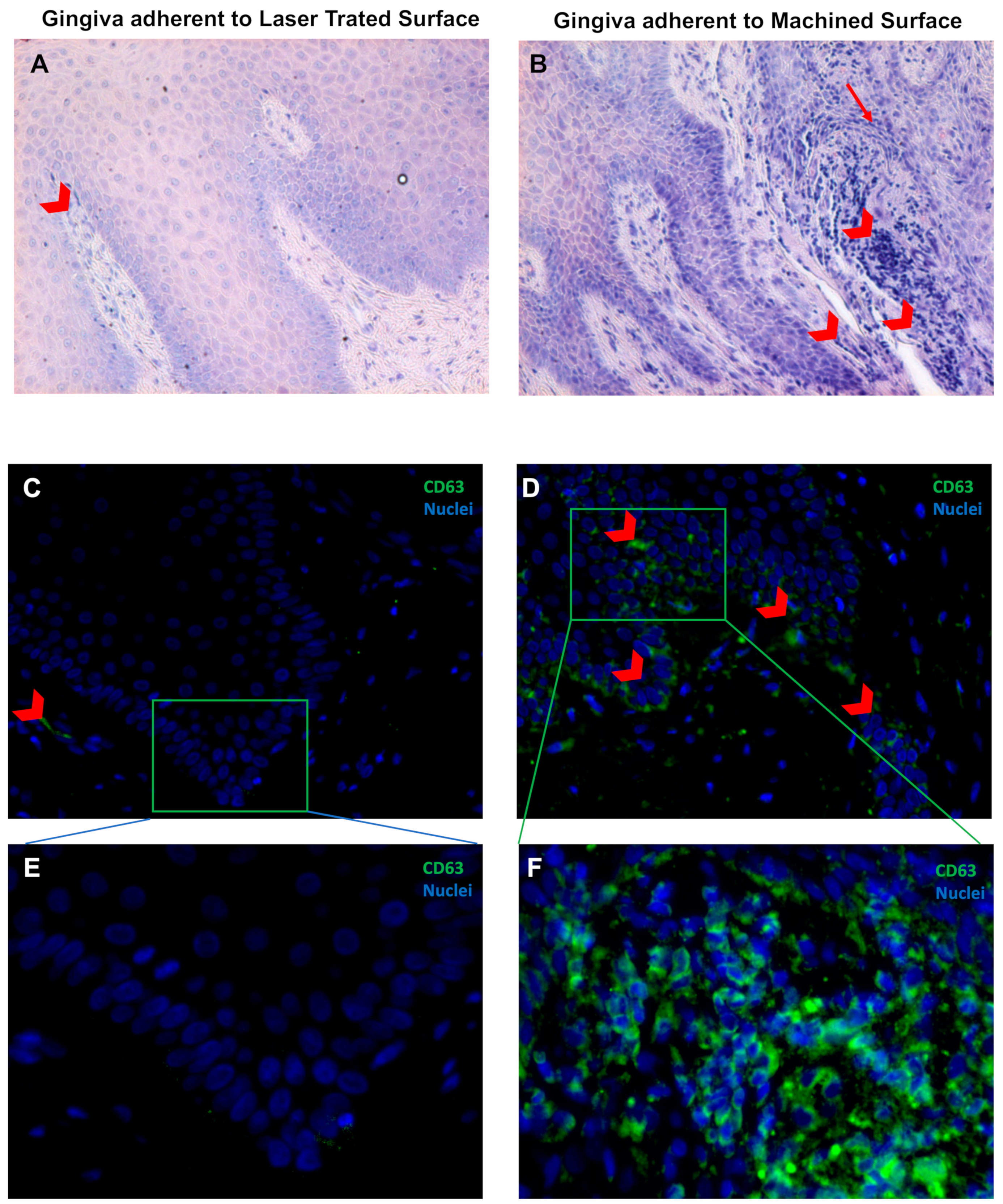 Jcm 09 01009 g005 Jcm 09 01009 g005