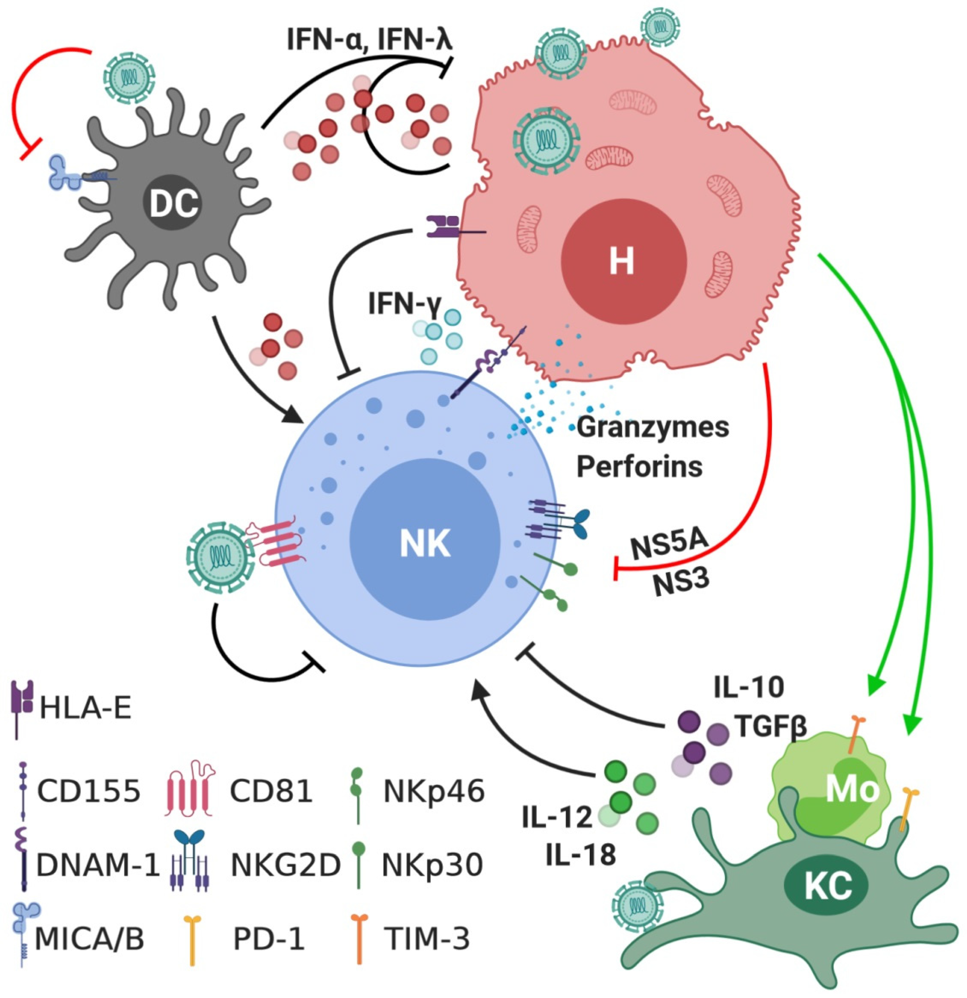 Jcm 09 01030 g001 Jcm 09 01030 g001