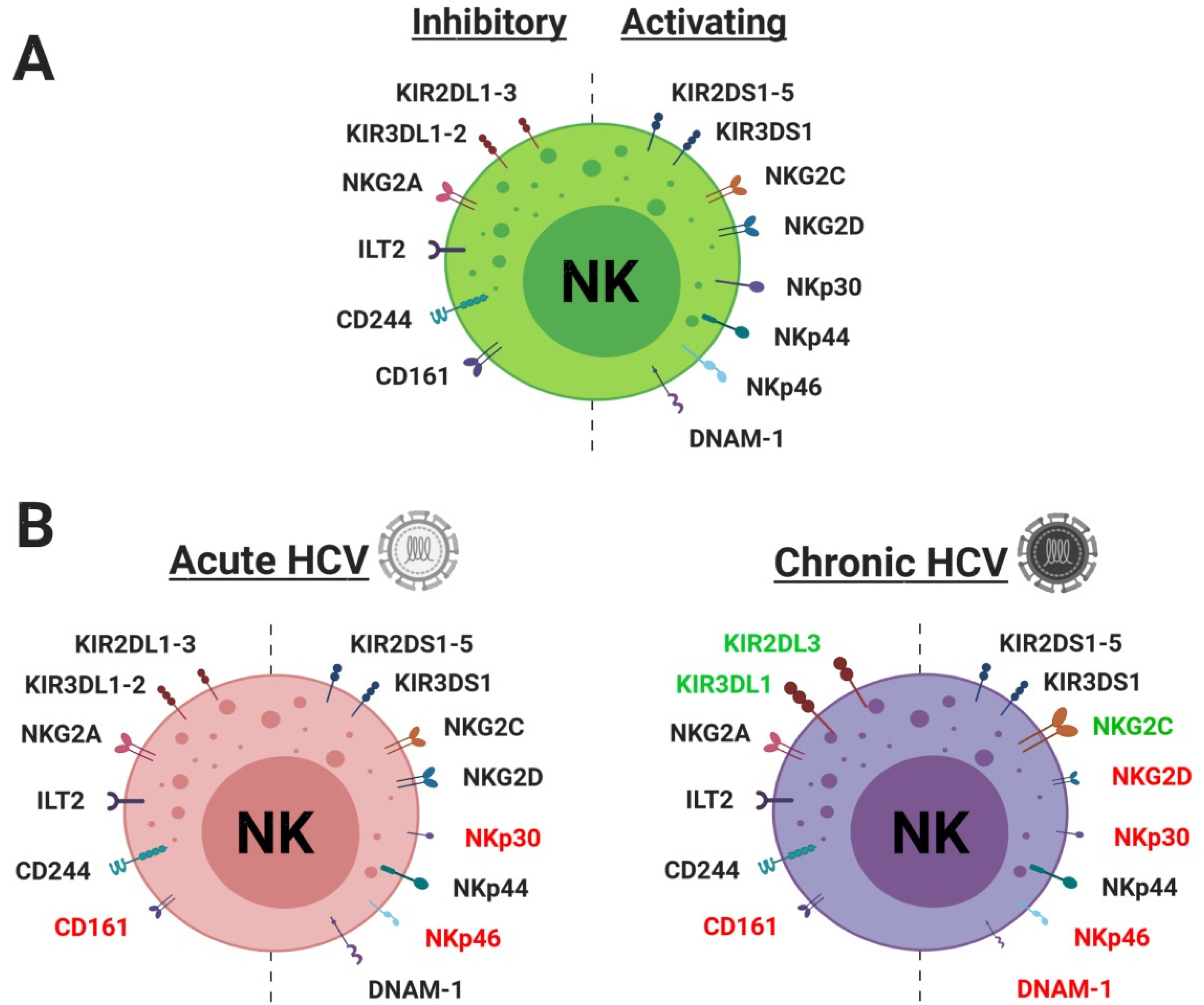 Jcm 09 01030 g002 Jcm 09 01030 g002