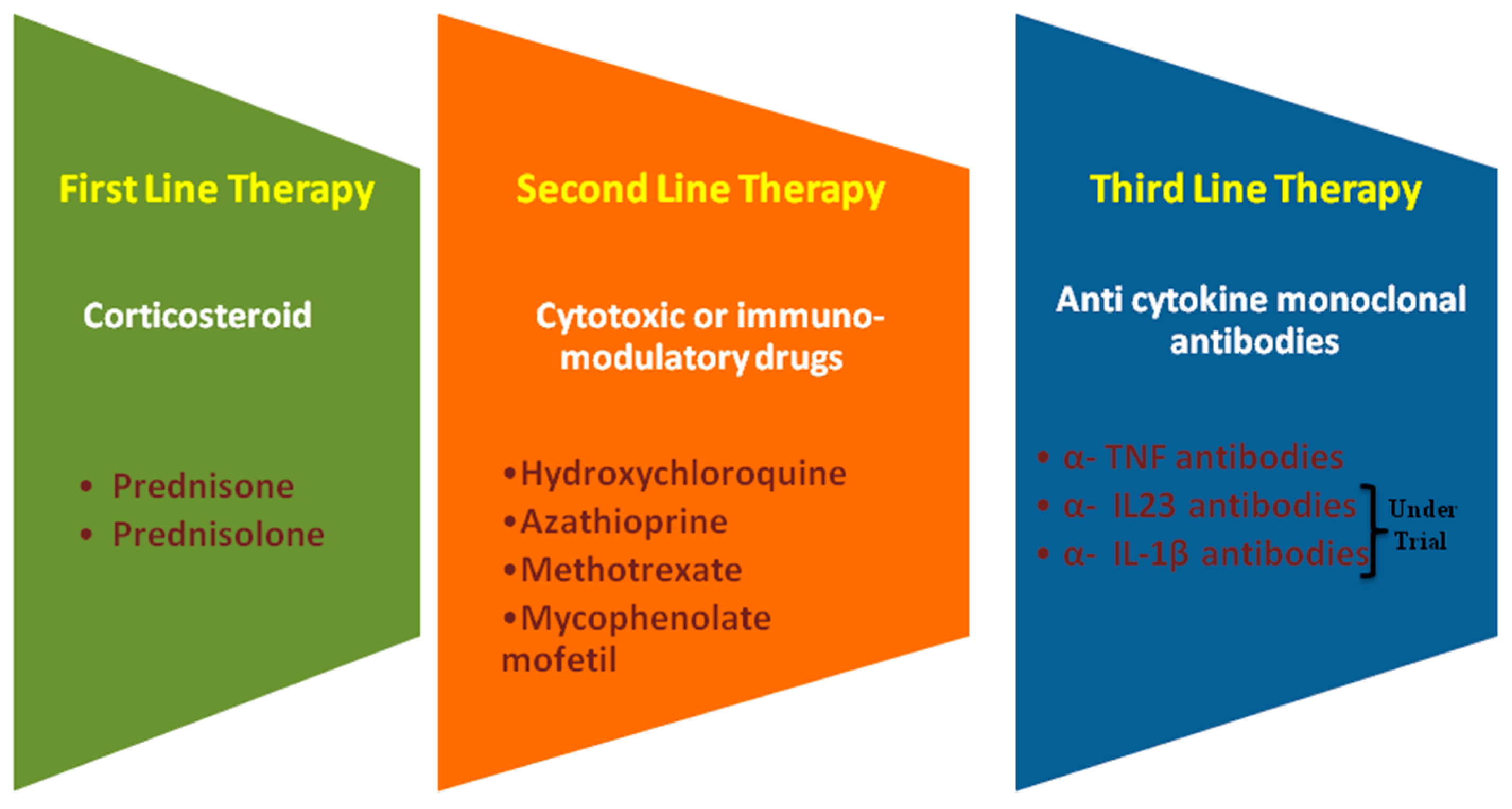 JCM Free FullText Sarcoidosis Causes, Diagnosis, Clinical