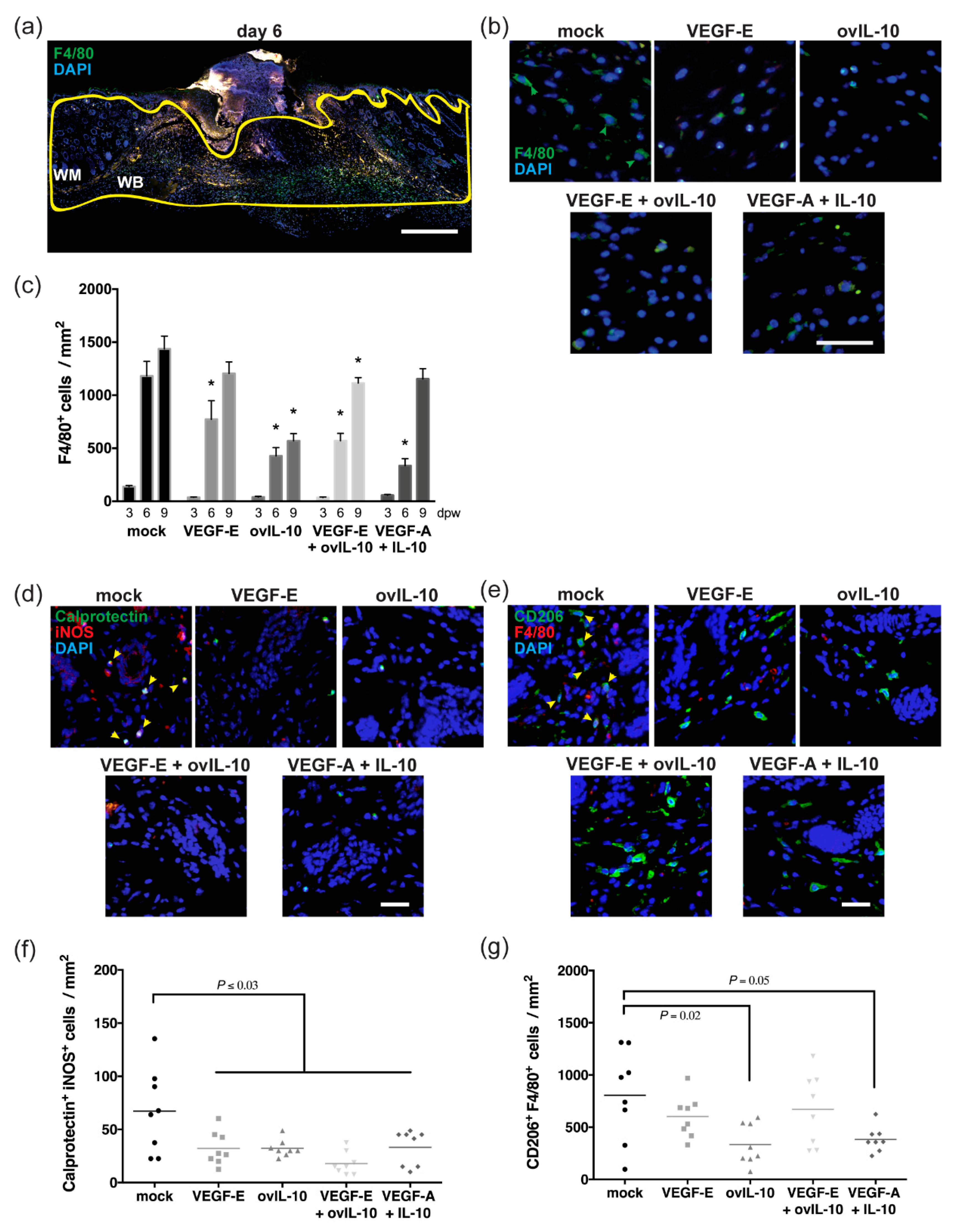 Jcm 09 01085 g003 Jcm 09 01085 g003
