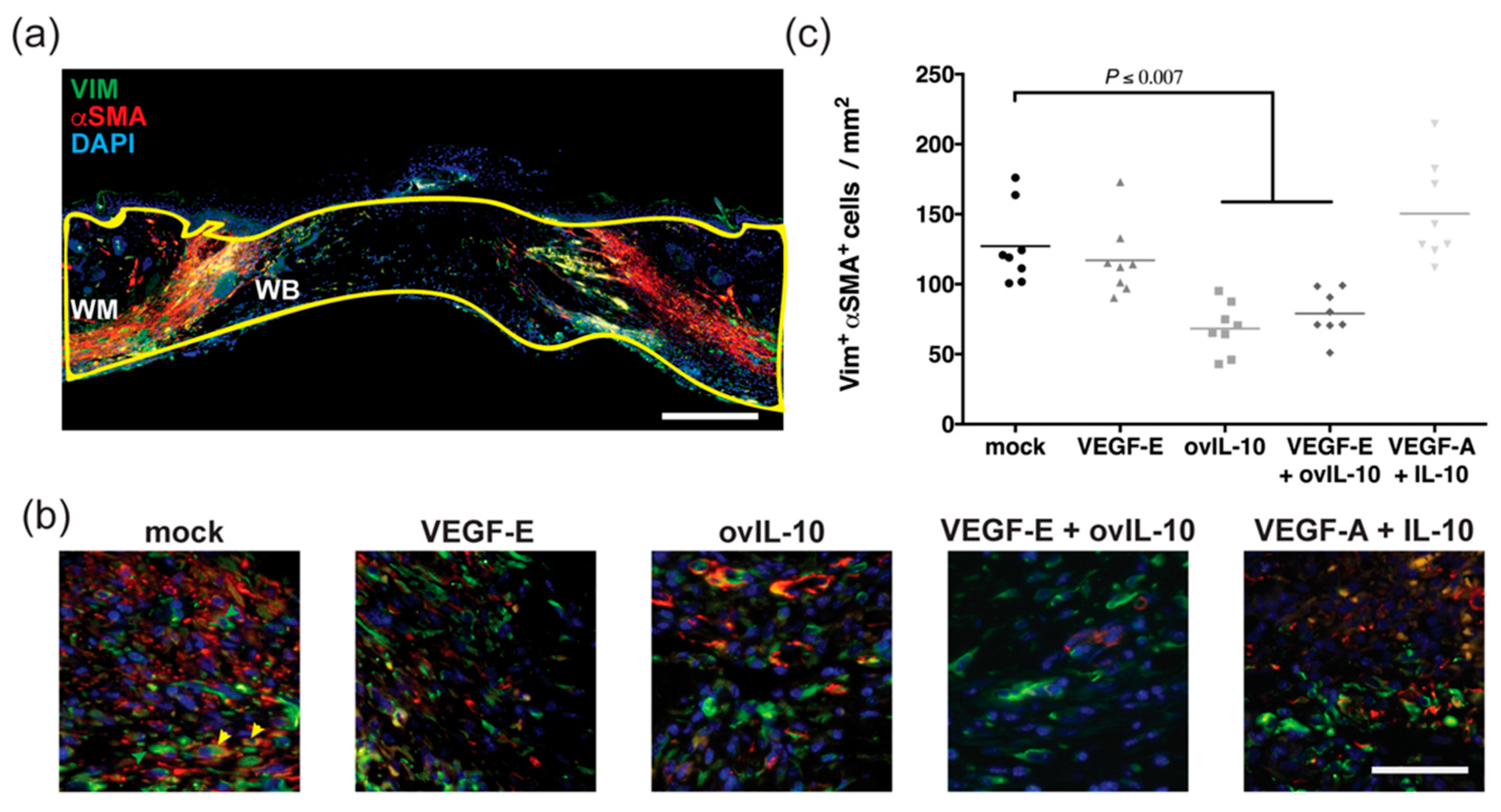 Jcm 09 01085 g004 Jcm 09 01085 g004