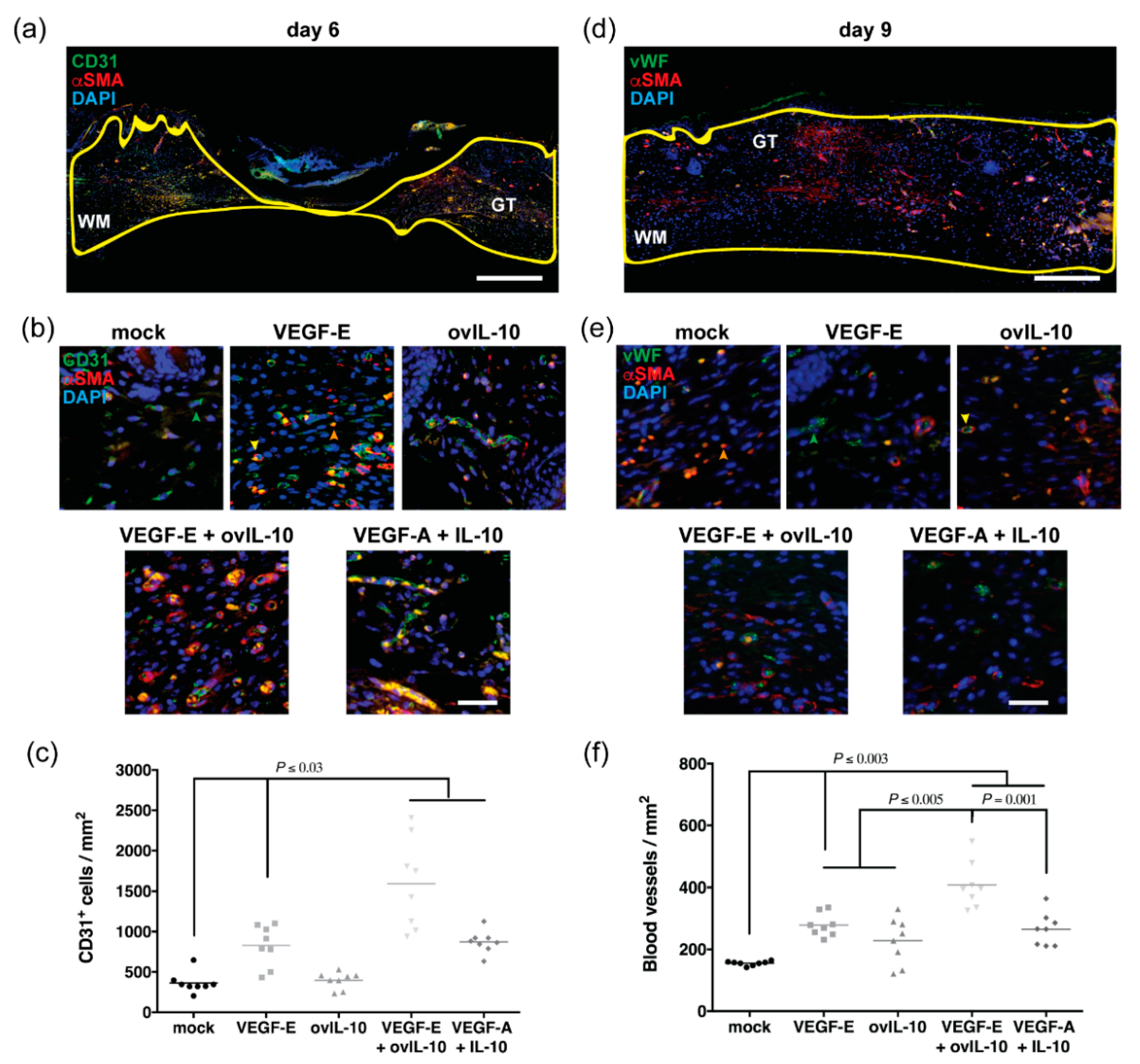 Jcm 09 01085 g005 Jcm 09 01085 g005