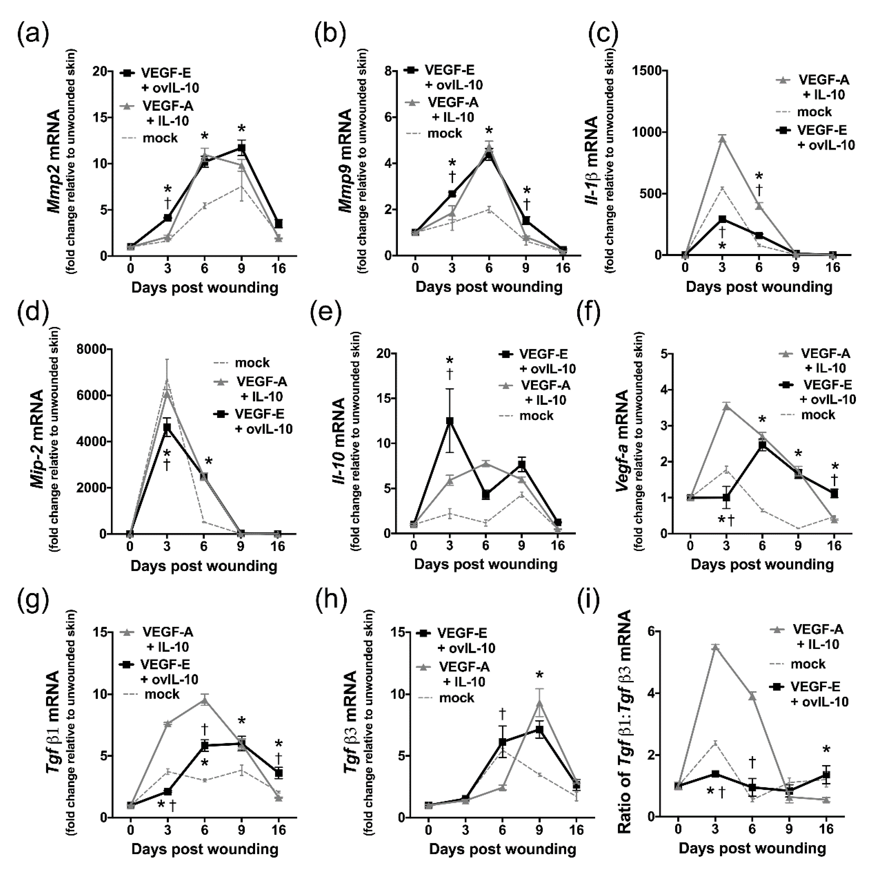 Jcm 09 01085 g007 Jcm 09 01085 g007