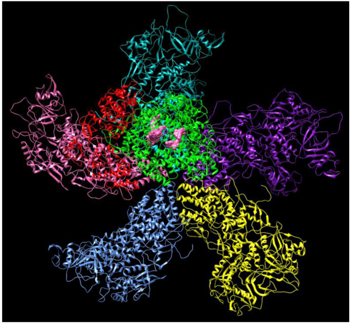 Jcm 09 01131 g002 Jcm 09 01131 g002