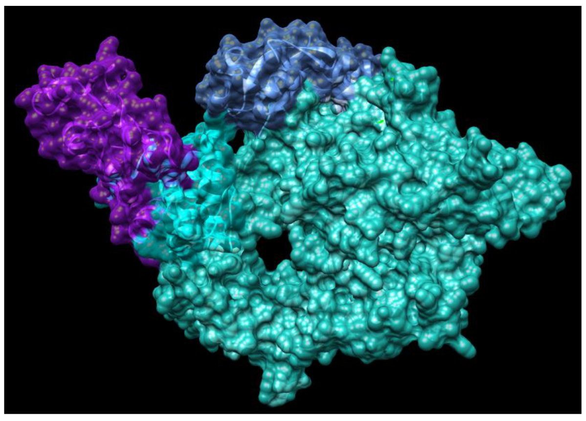 Jcm 09 01131 g003 Jcm 09 01131 g003