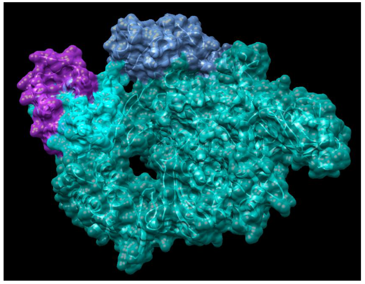 Jcm 09 01131 g004 Jcm 09 01131 g004