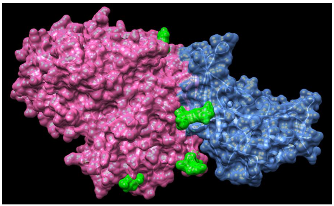 Jcm 09 01131 g005 Jcm 09 01131 g005