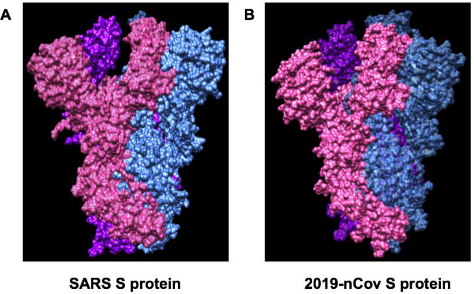Jcm 09 01131 g006 Jcm 09 01131 g006