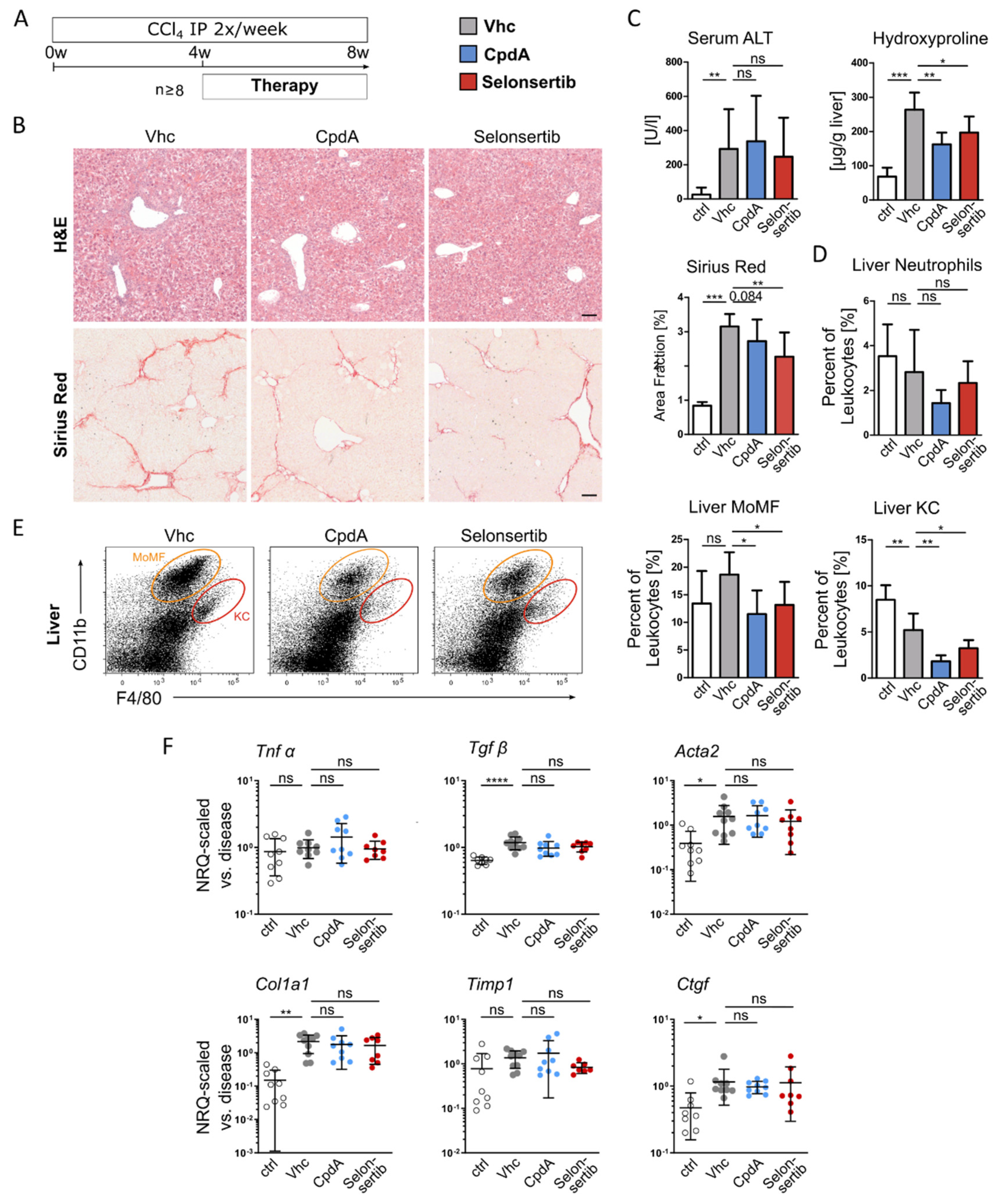 Jcm 09 01140 g006 Jcm 09 01140 g006