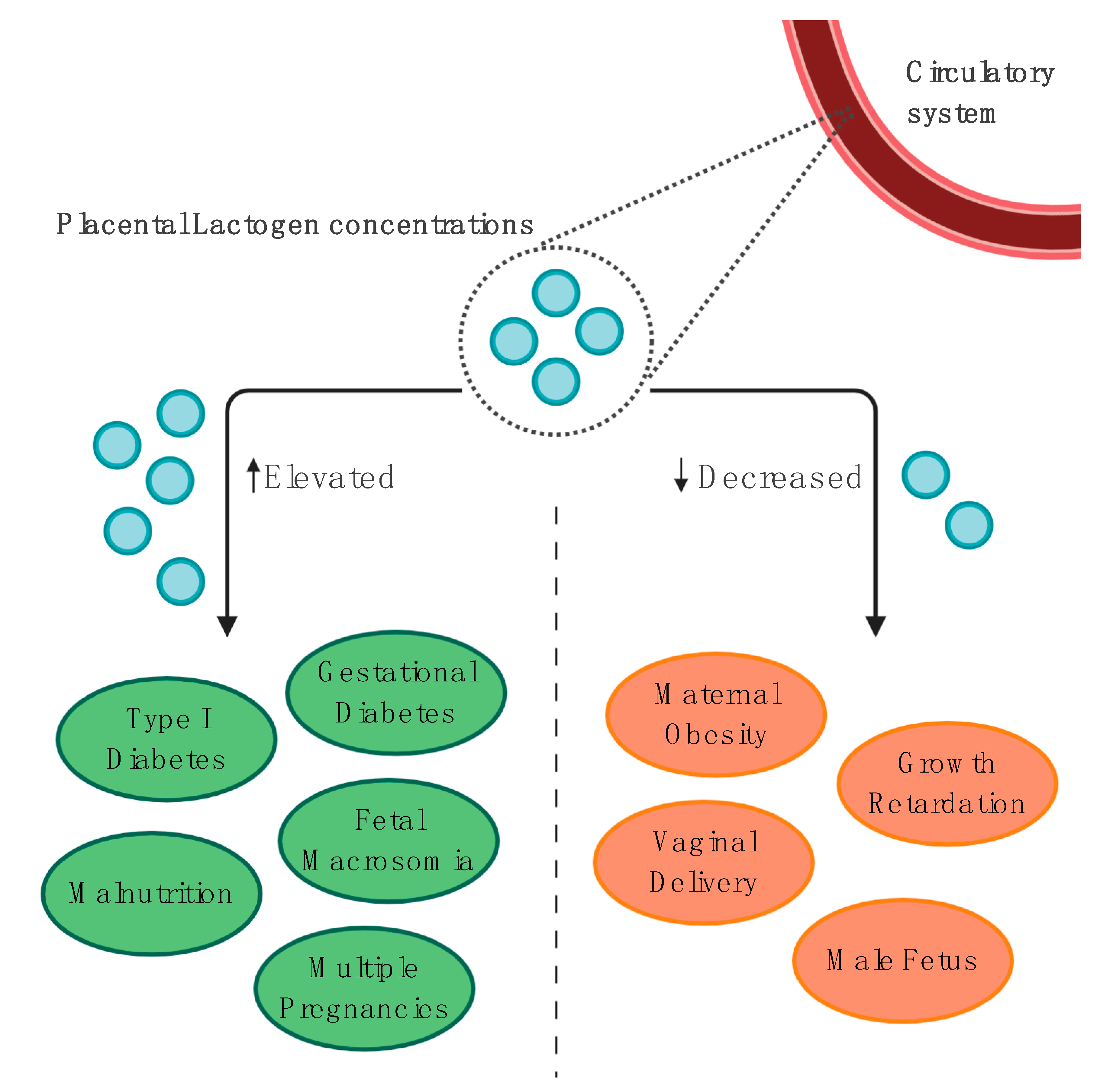placental lactogen diabetes