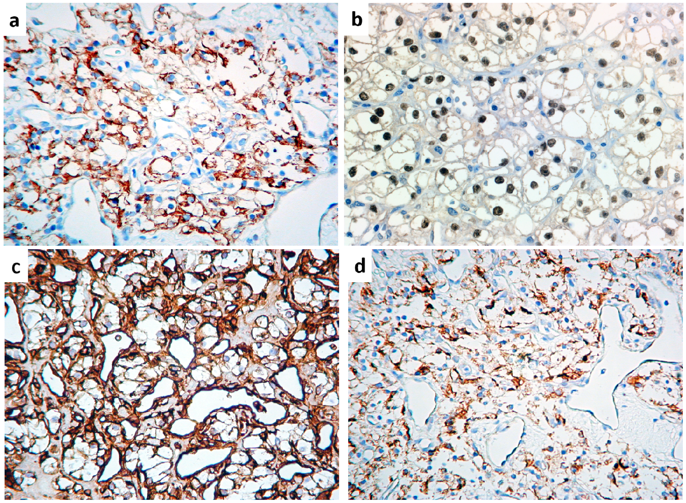 Jcm 09 01151 g005 Jcm 09 01151 g005