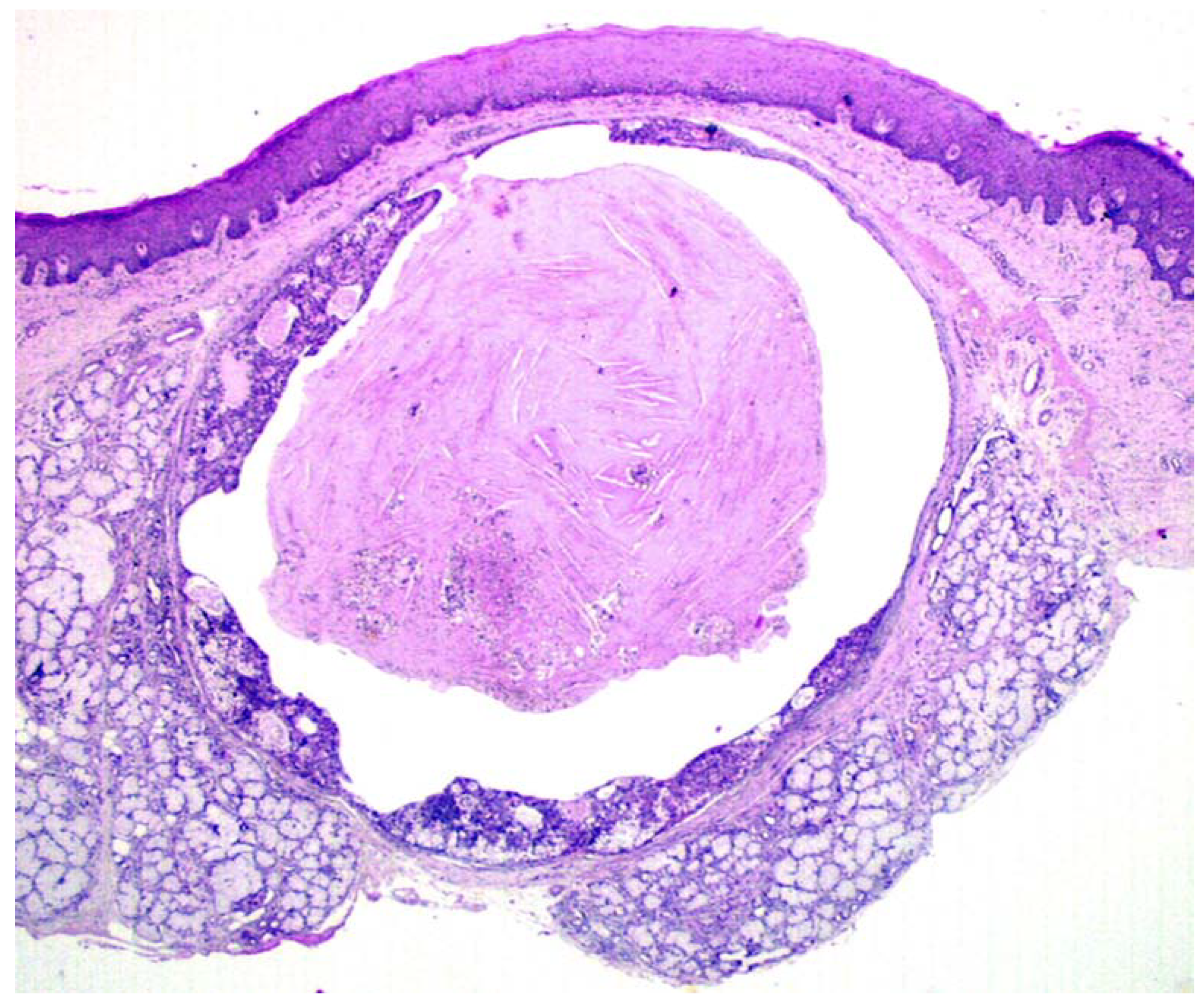 Jcm 09 01157 g002 Jcm 09 01157 g002