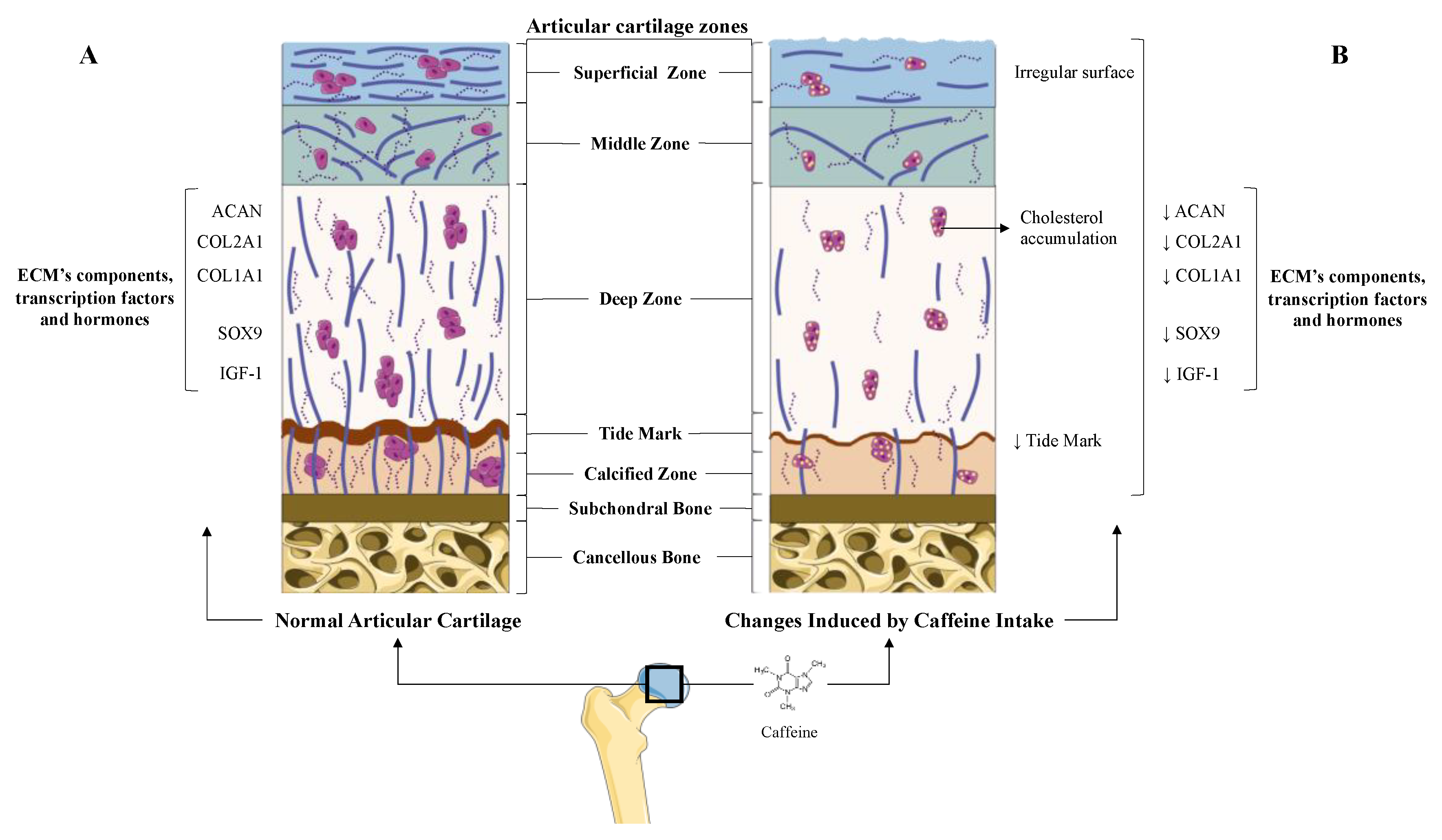 Jcm 09 01163 g001 Jcm 09 01163 g001