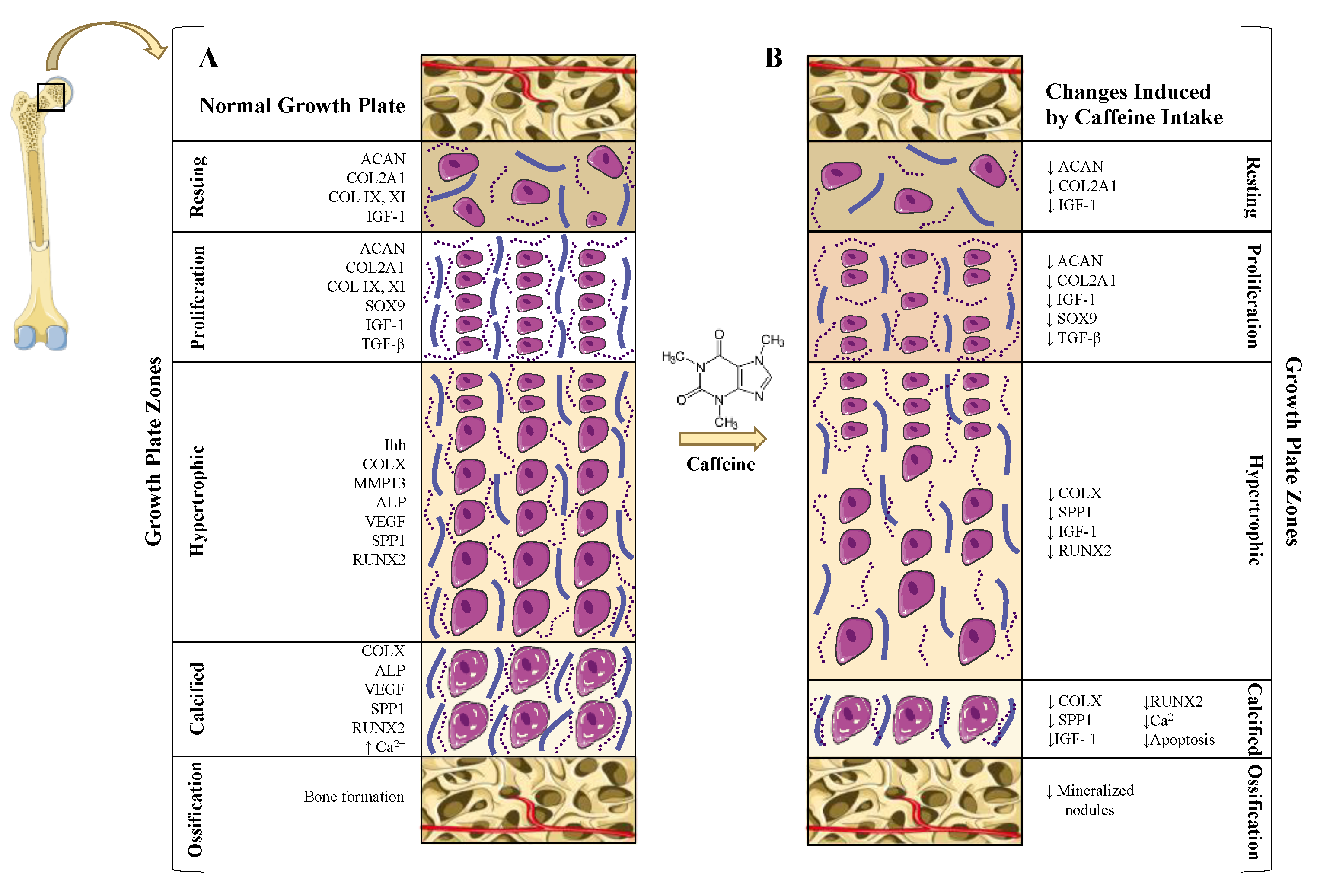 Jcm 09 01163 g002 Jcm 09 01163 g002