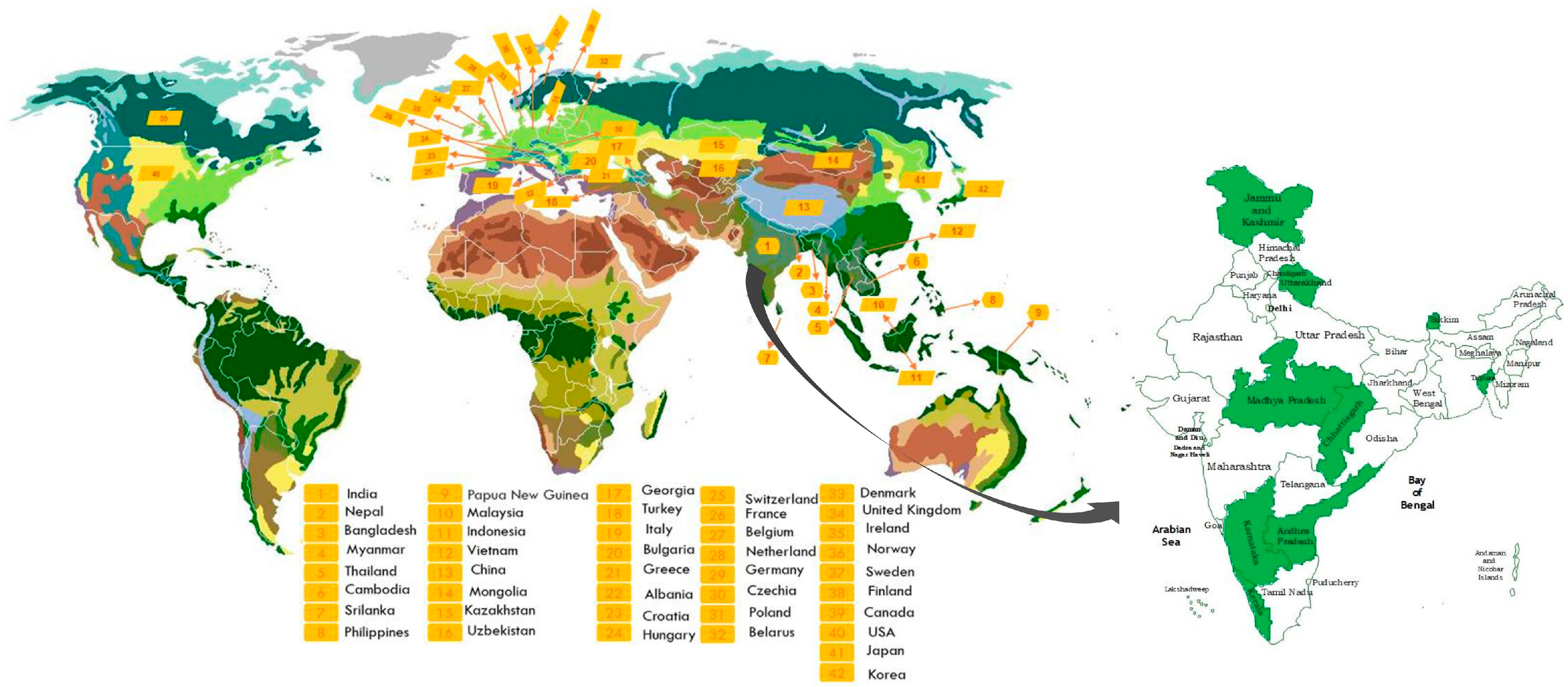 Jcm 09 01176 g004 Jcm 09 01176 g004