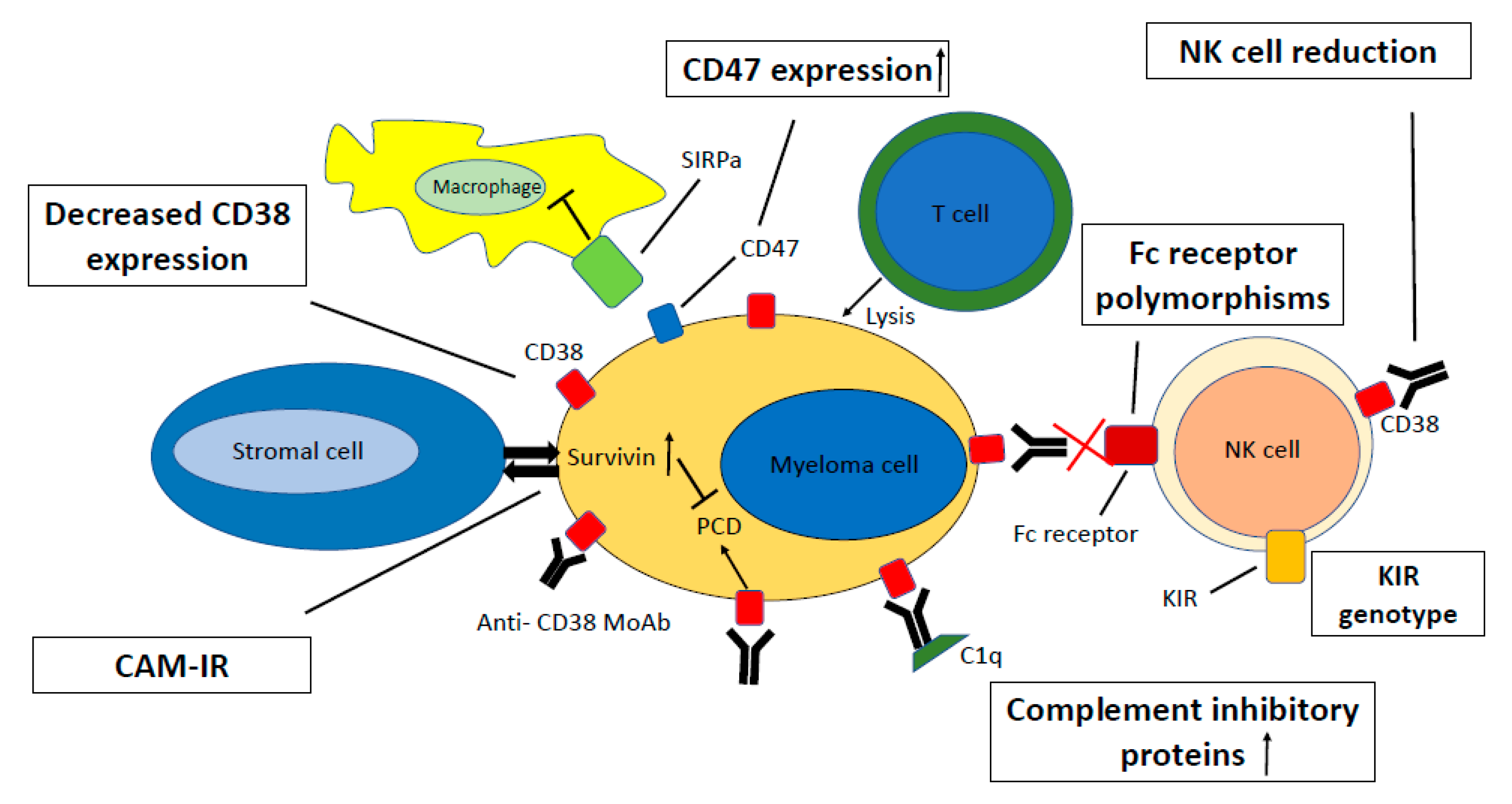 Jcm 09 01195 g002 Jcm 09 01195 g002