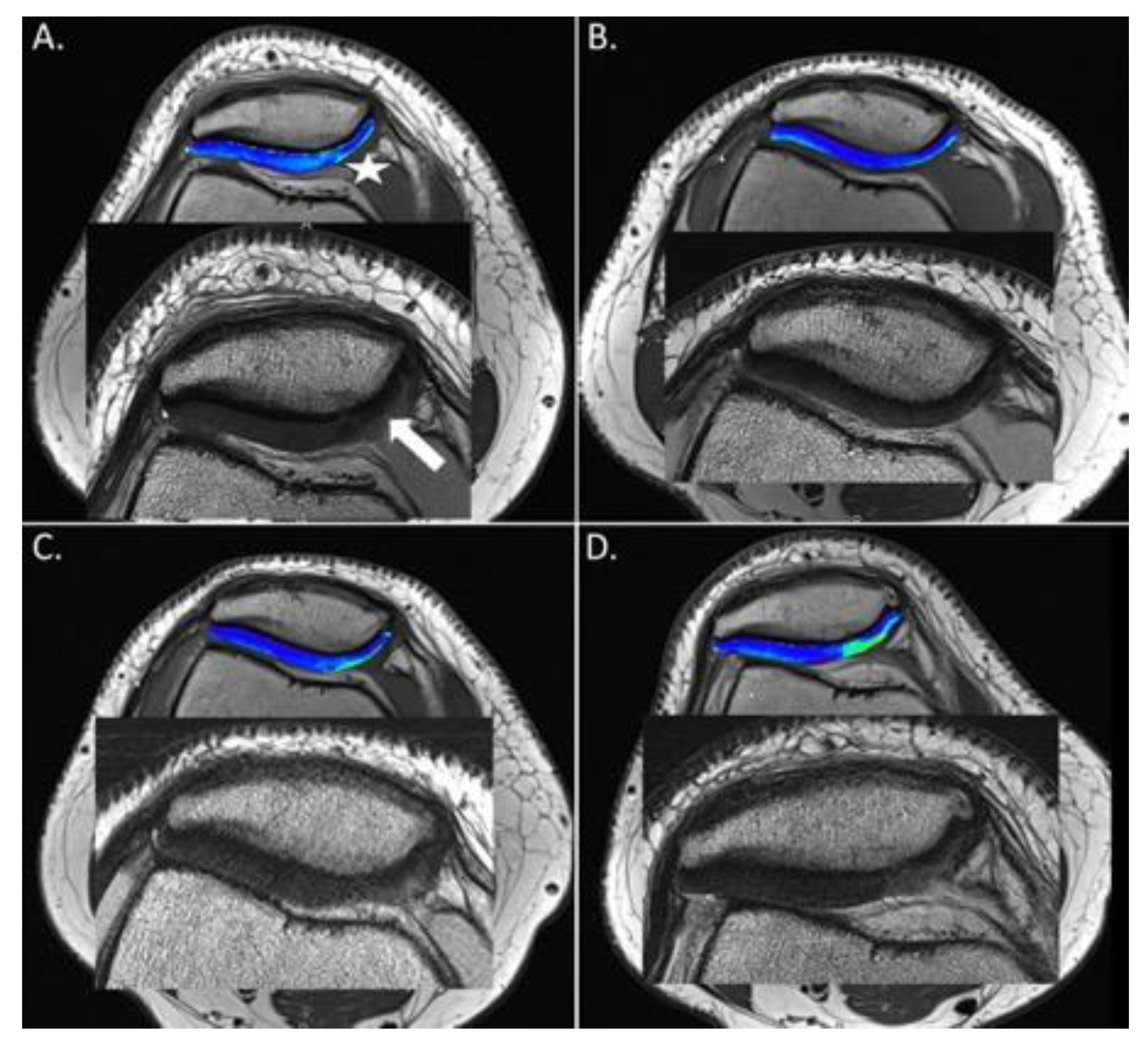 Jcm 09 01202 g002 Jcm 09 01202 g002