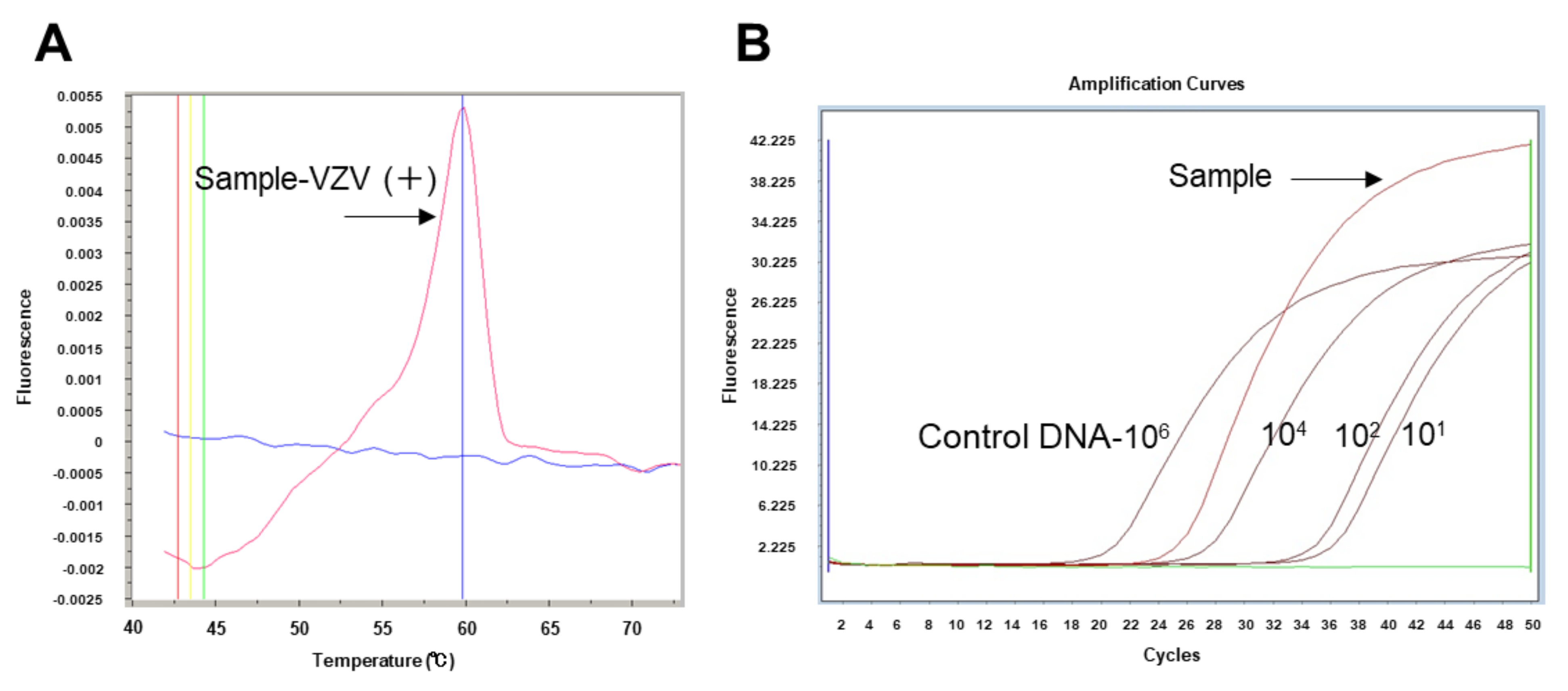 Jcm 09 01204 g001 Jcm 09 01204 g001