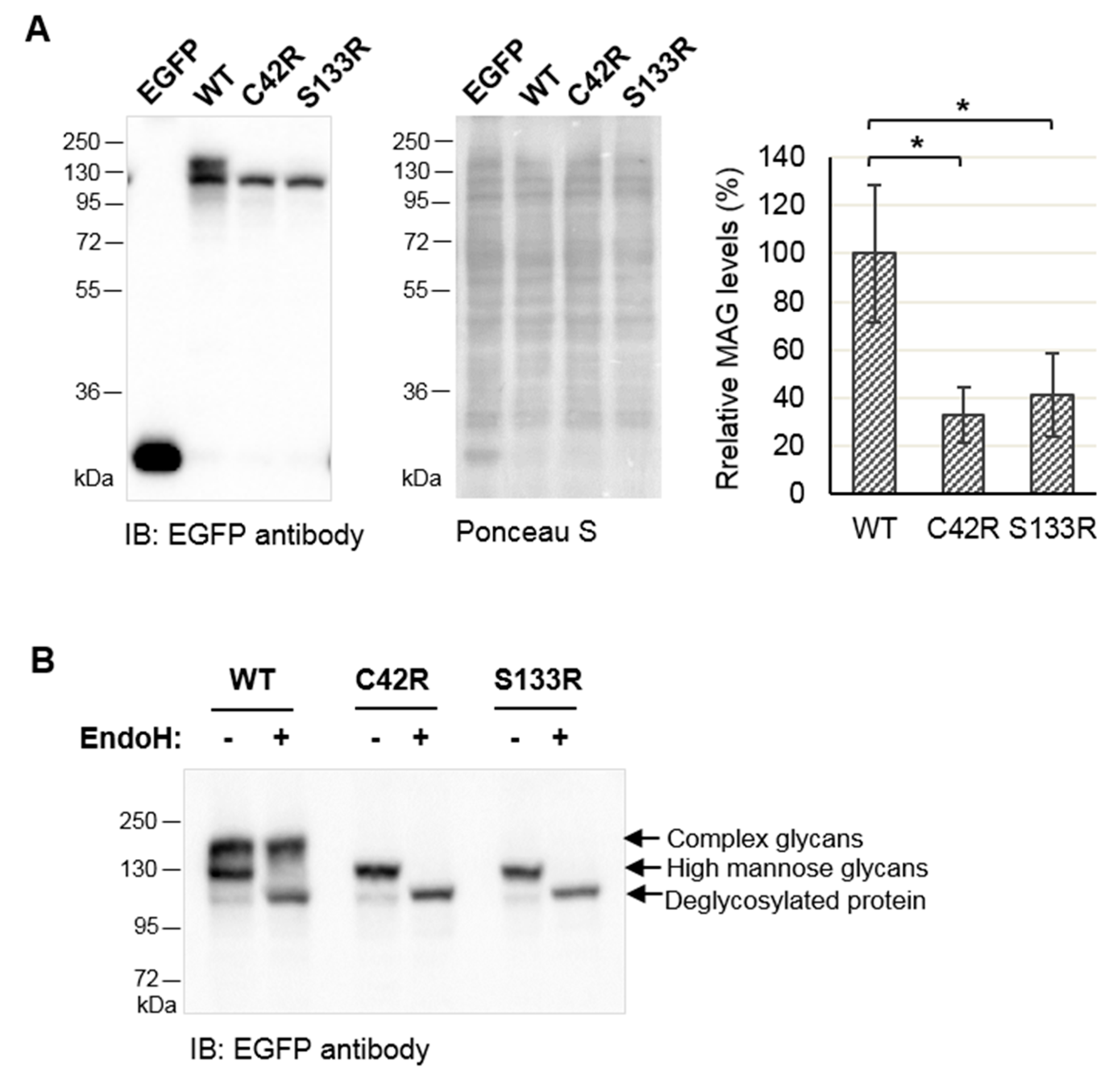 Jcm 09 01212 g002 Jcm 09 01212 g002