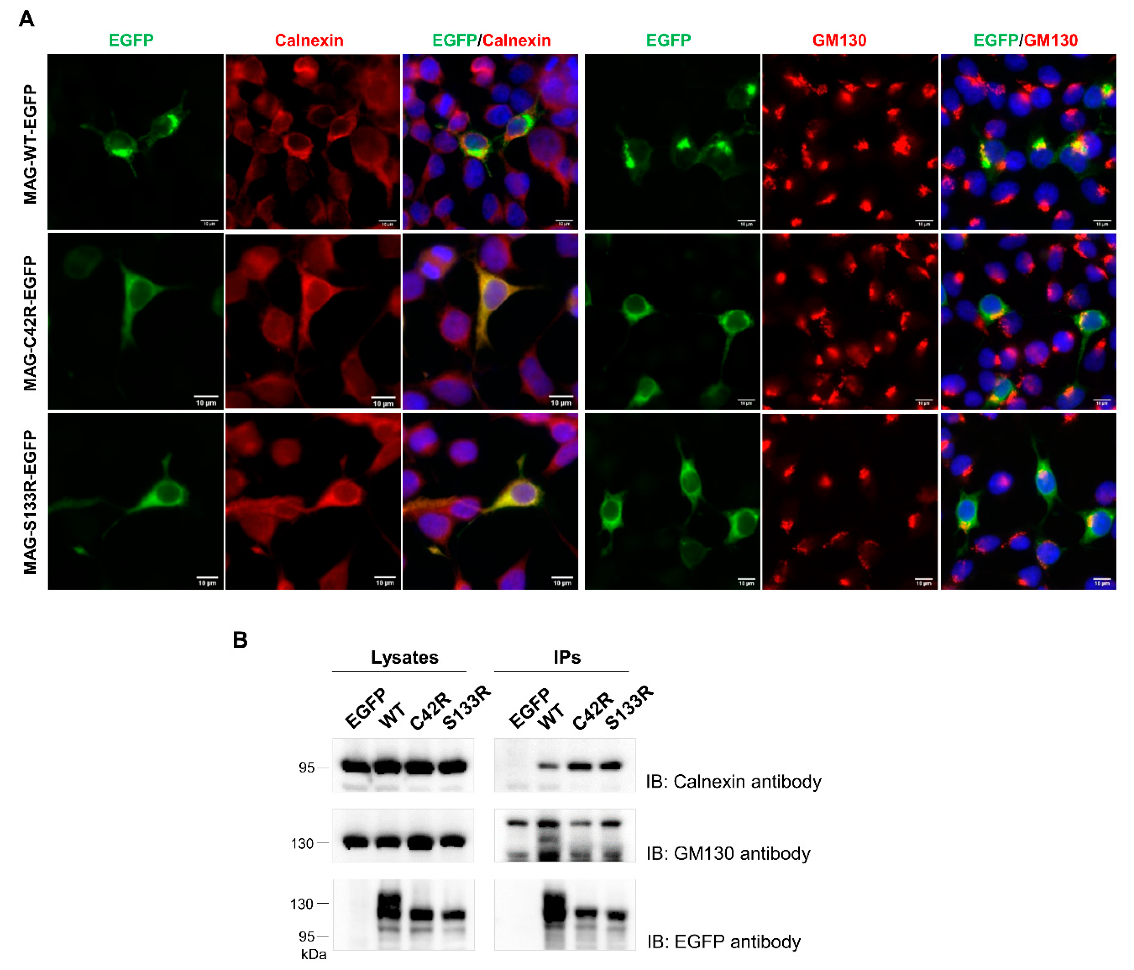 Jcm 09 01212 g003 Jcm 09 01212 g003
