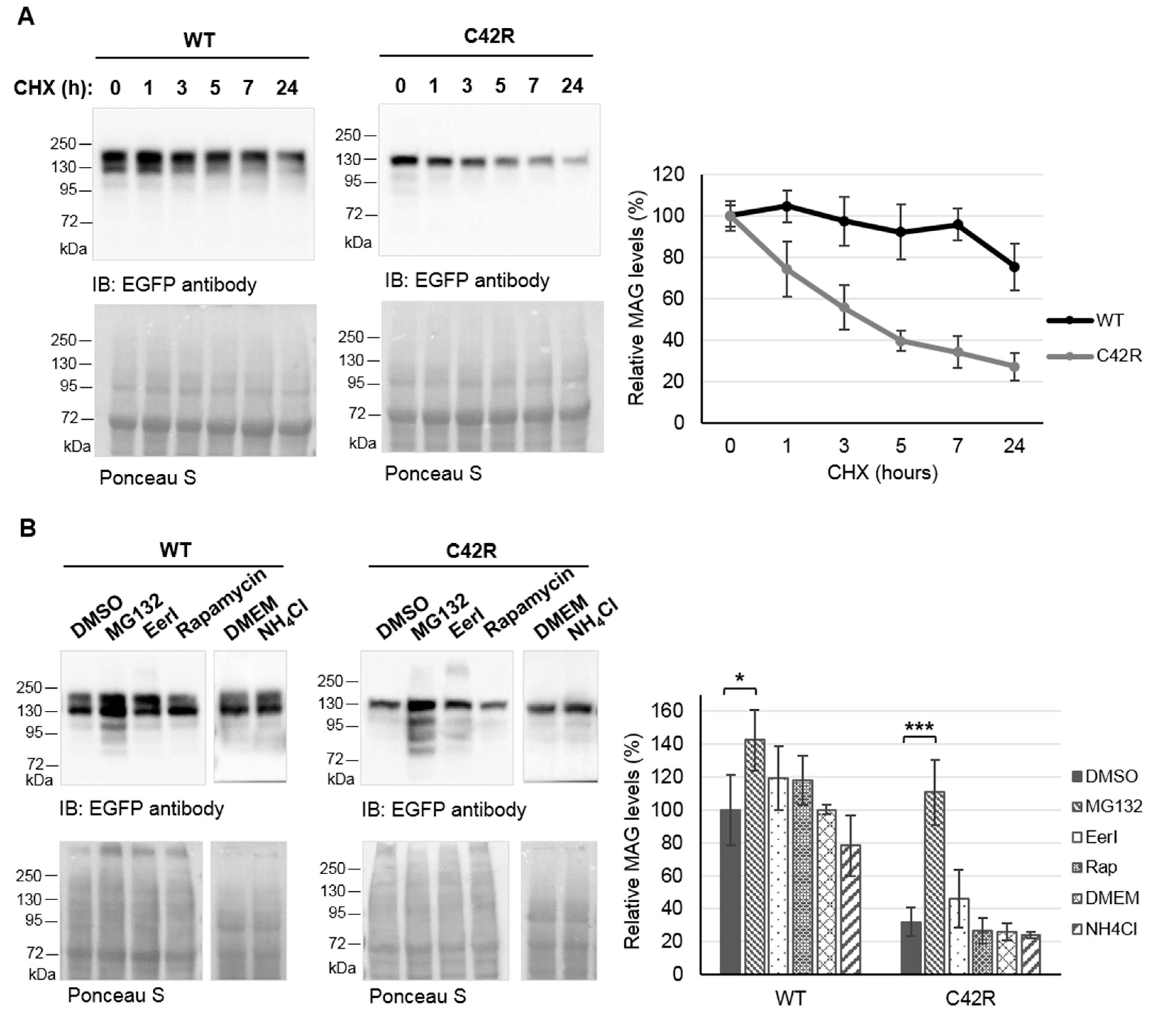 Jcm 09 01212 g004 Jcm 09 01212 g004