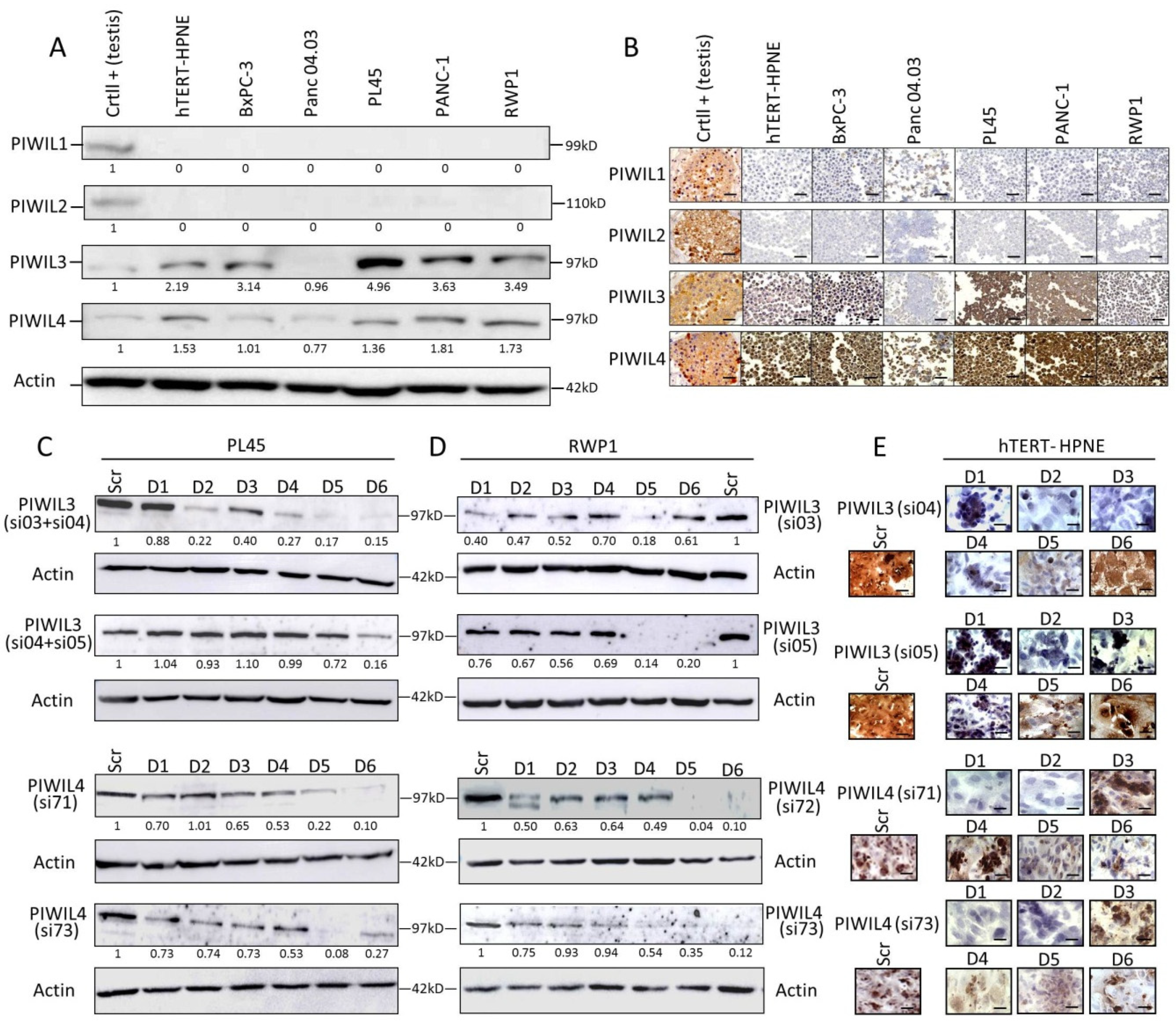 Jcm 09 01252 g001 Jcm 09 01252 g001