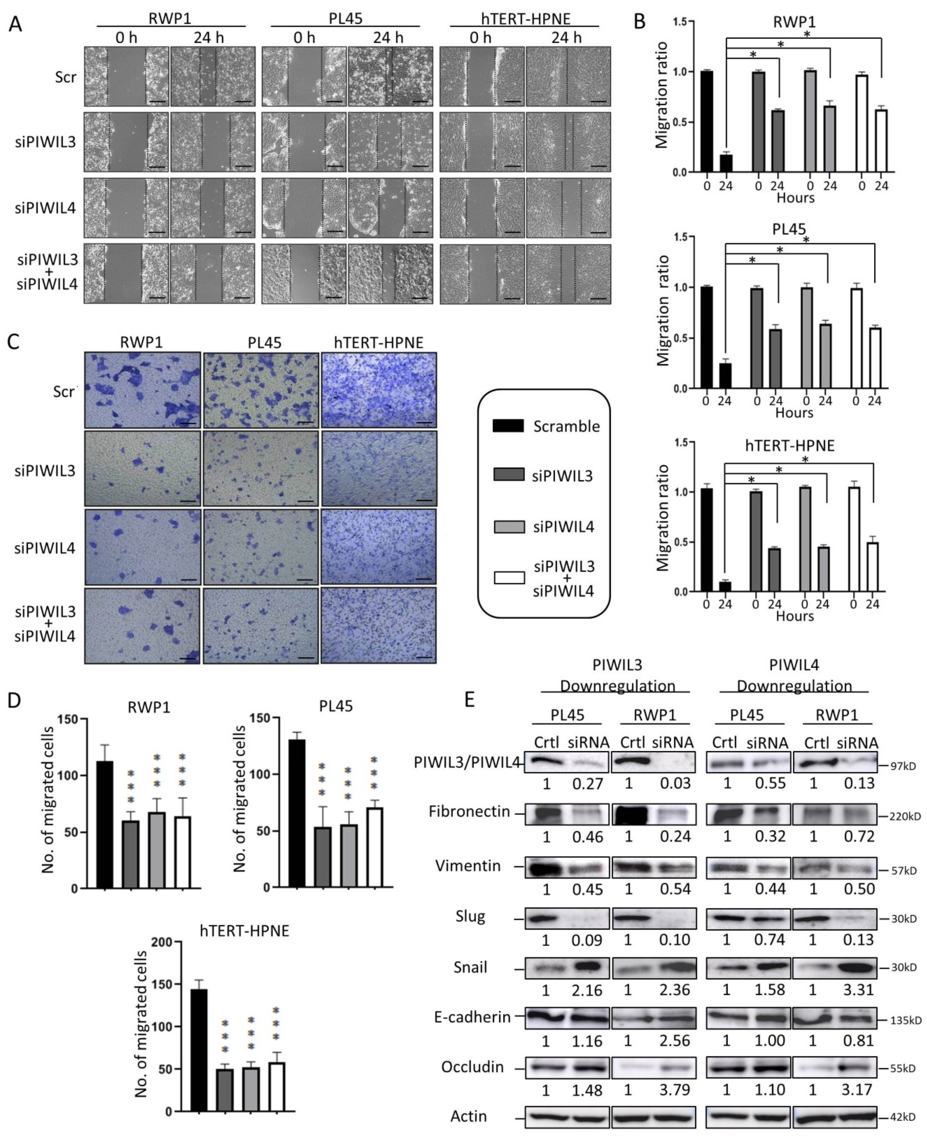 Jcm 09 01252 g002 Jcm 09 01252 g002
