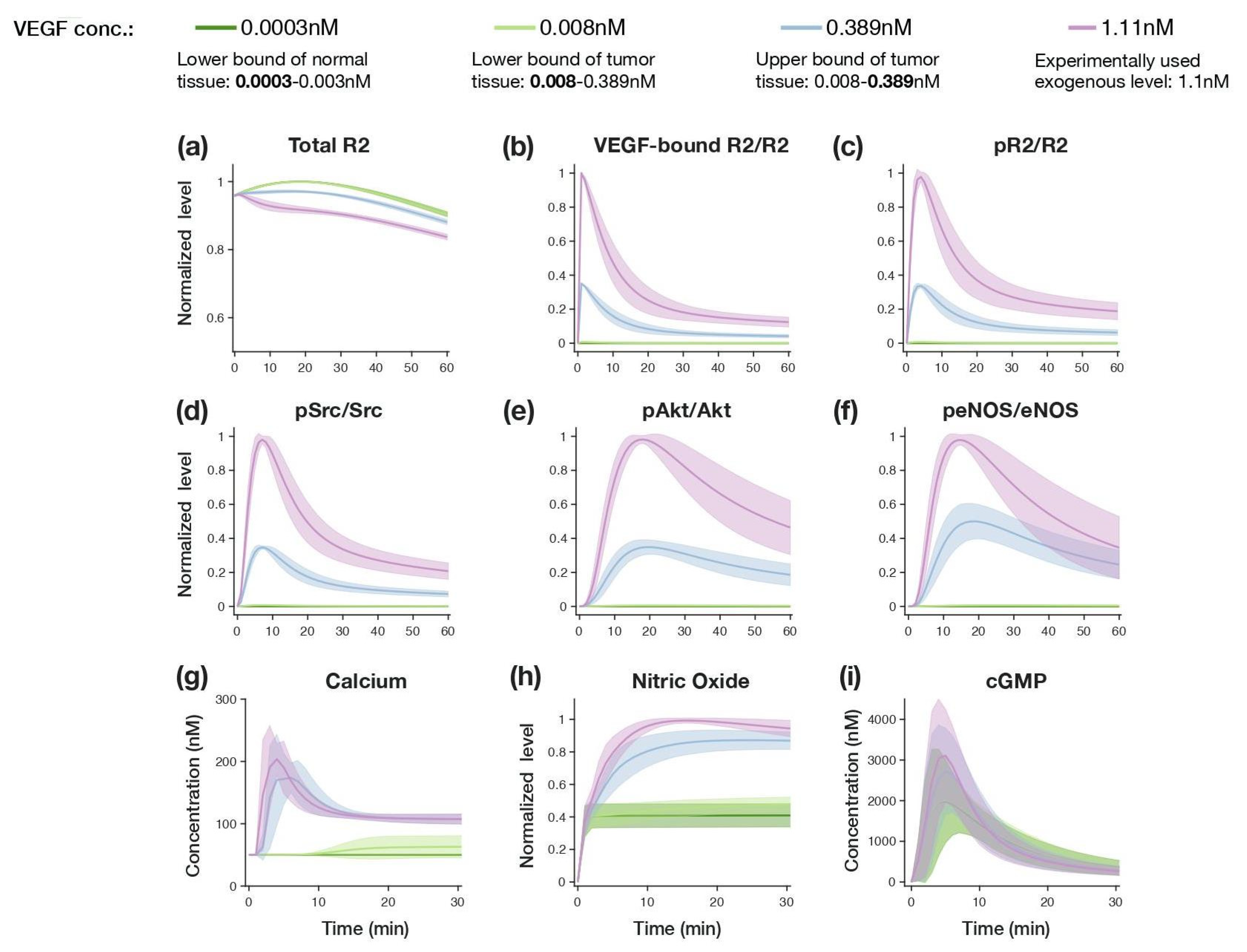 Jcm 09 01255 g004 Jcm 09 01255 g004