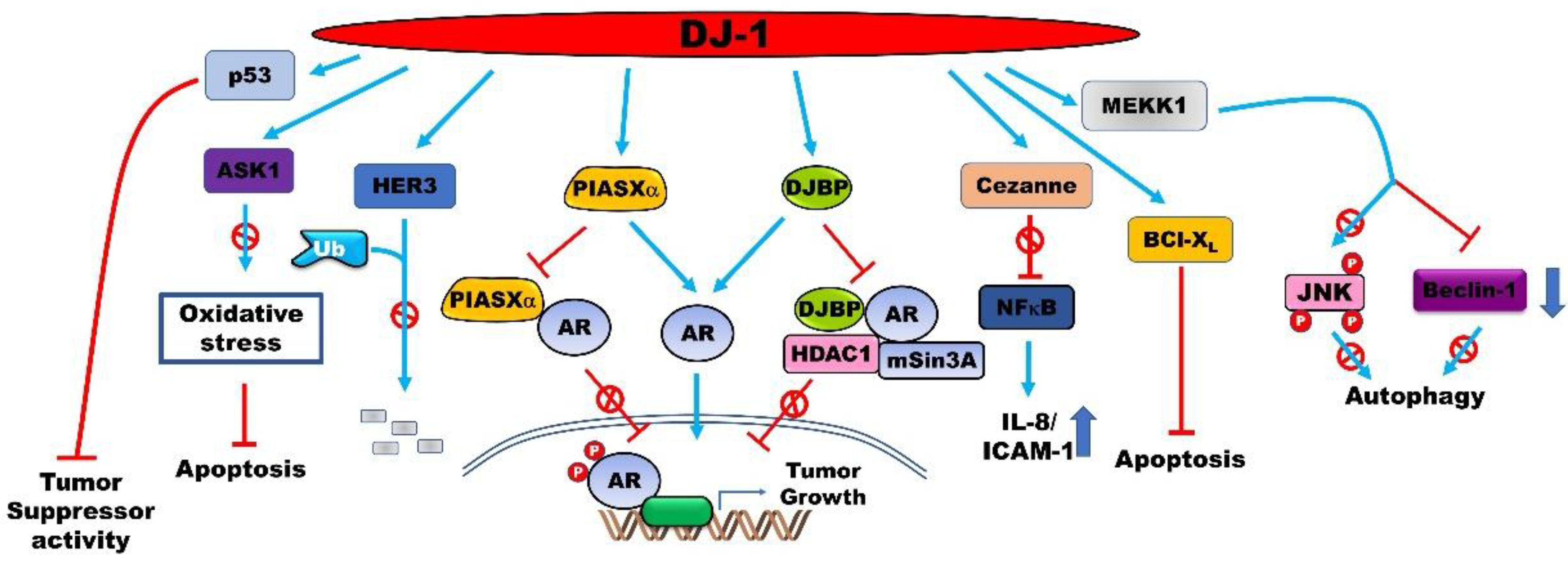 Muse Research Receptor ジャンク