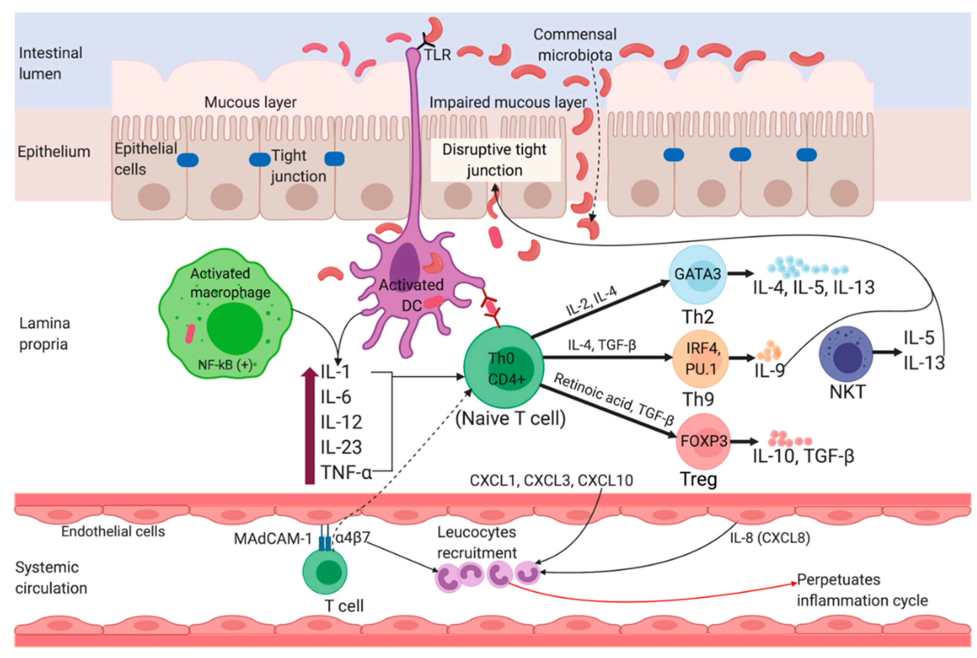 Bestrating Toelating Zegevieren JCM | Free Full-Text | Revisiting Inflammatory Bowel Disease: Pathology,  Treatments, Challenges and Emerging Therapeutics Including Drug Leads from  Natural Products
