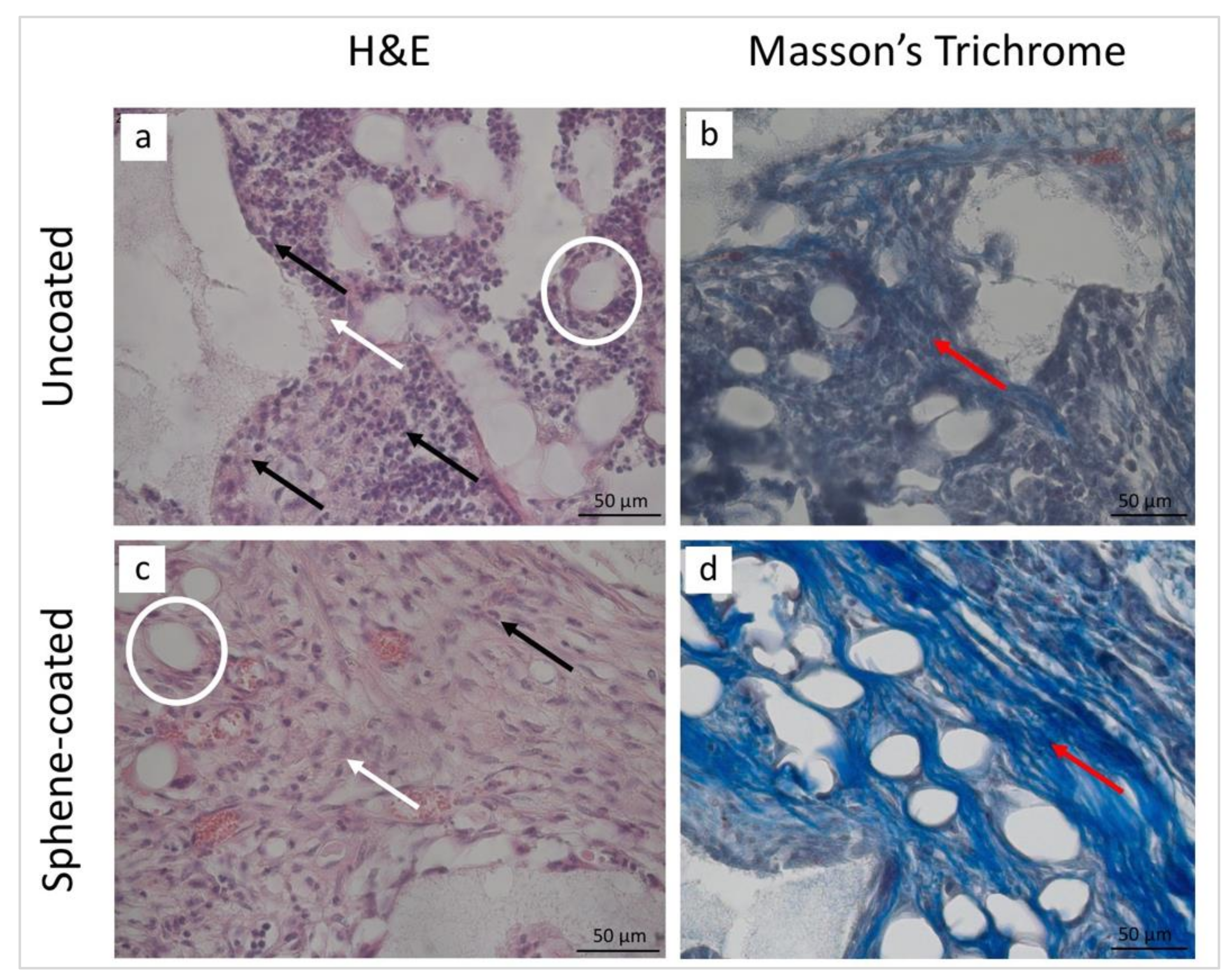 Jcm 09 01290 g010 Jcm 09 01290 g010