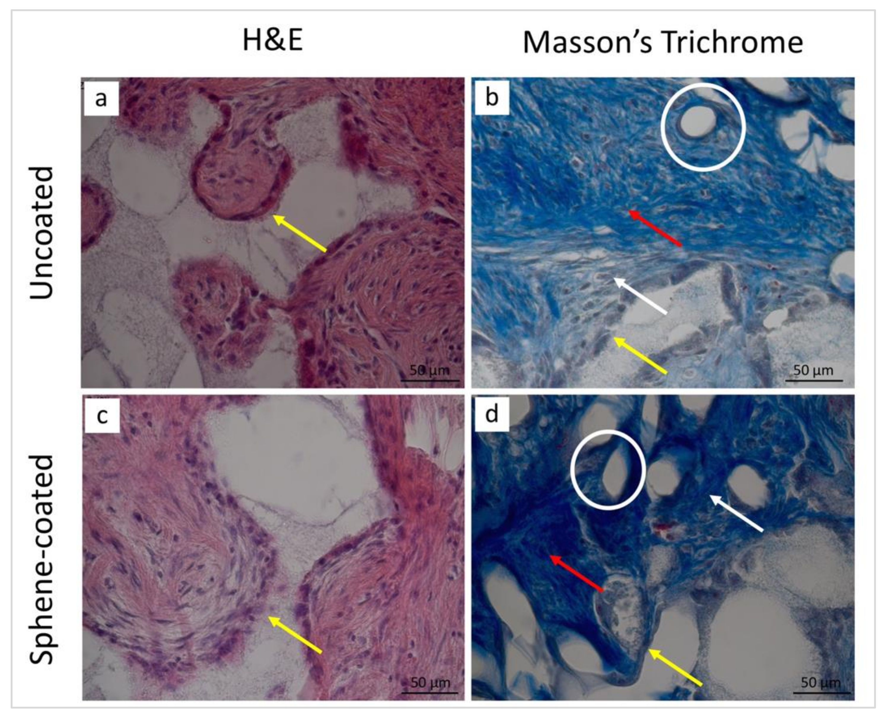 Jcm 09 01290 g011 Jcm 09 01290 g011