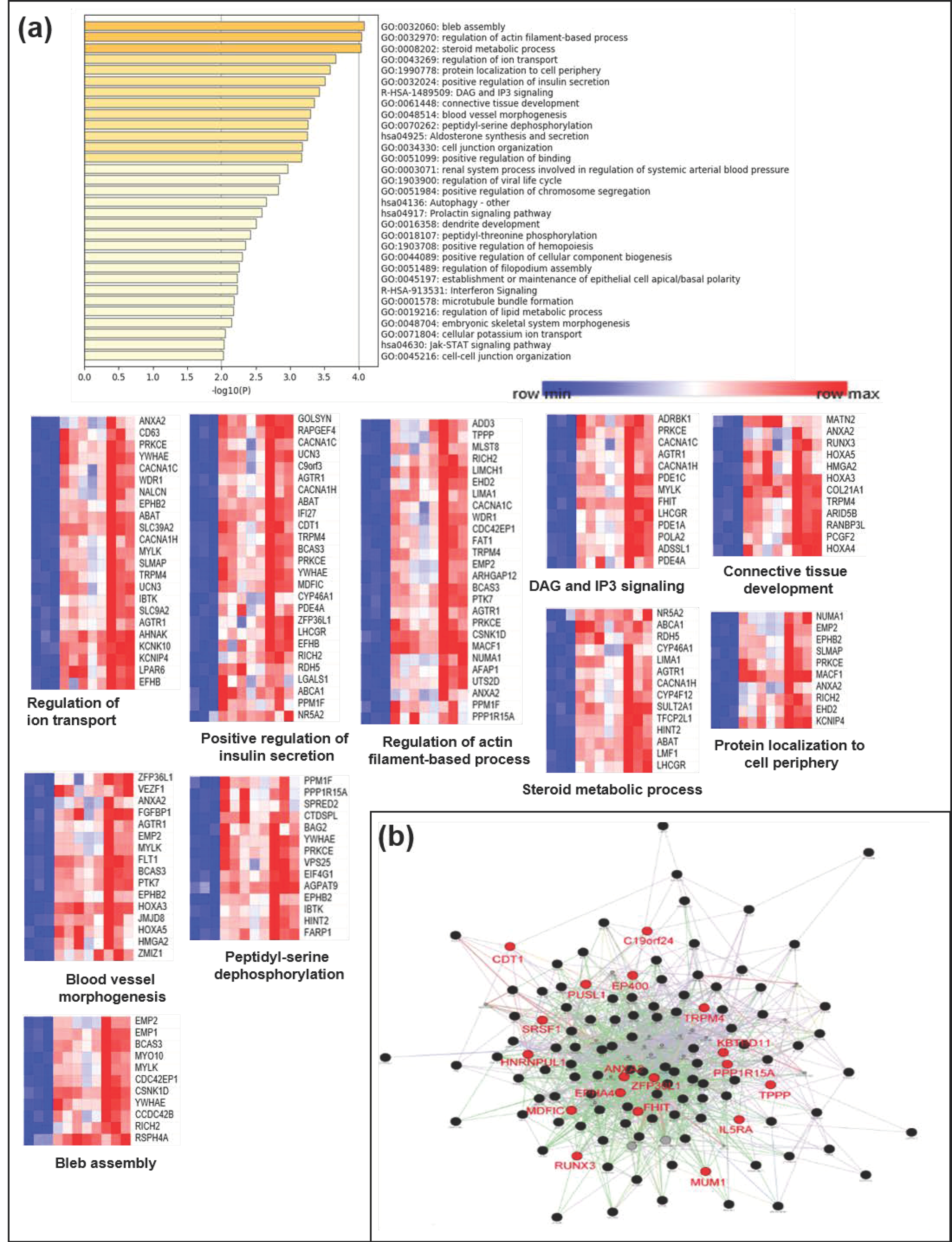 Jcm 09 01338 g005 Jcm 09 01338 g005