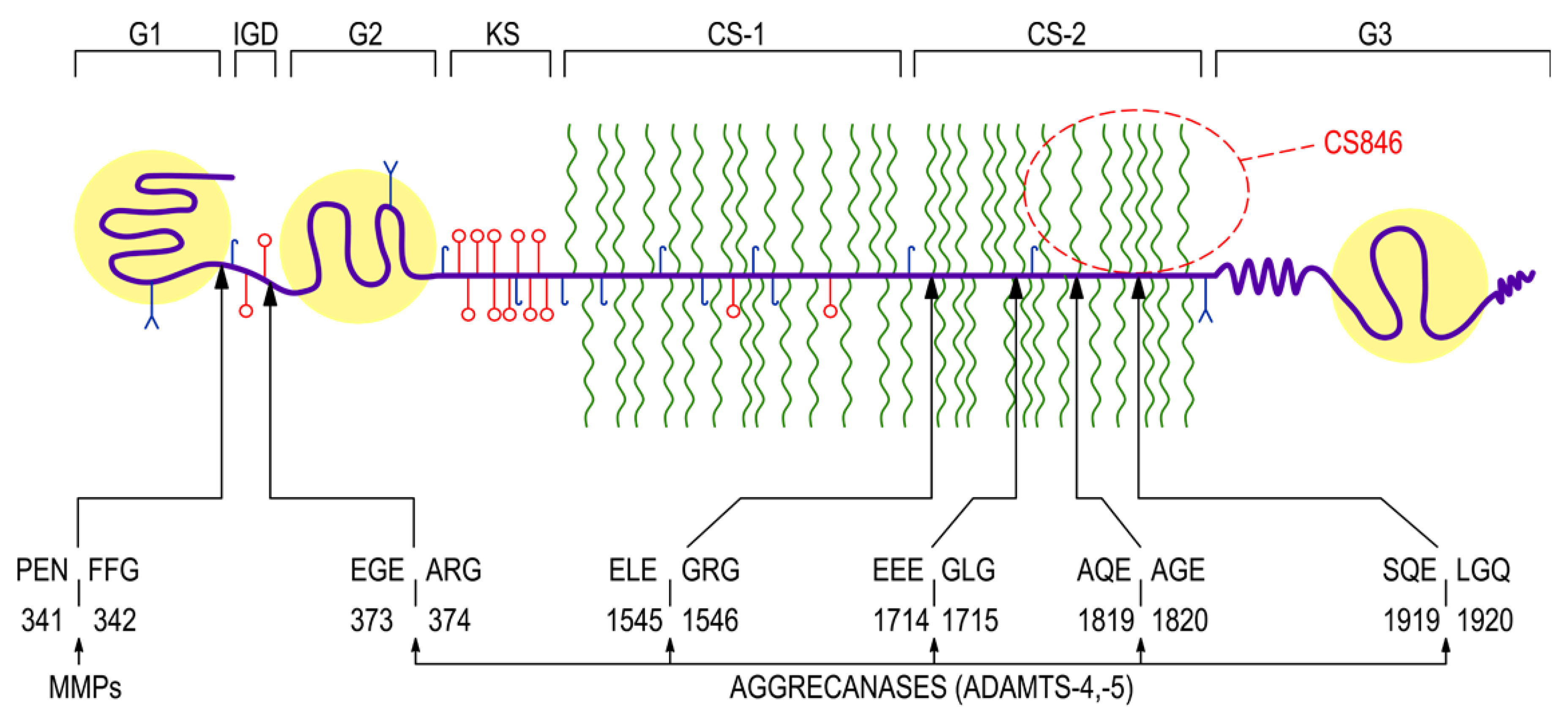 Jcm 09 01377 g001 Jcm 09 01377 g001