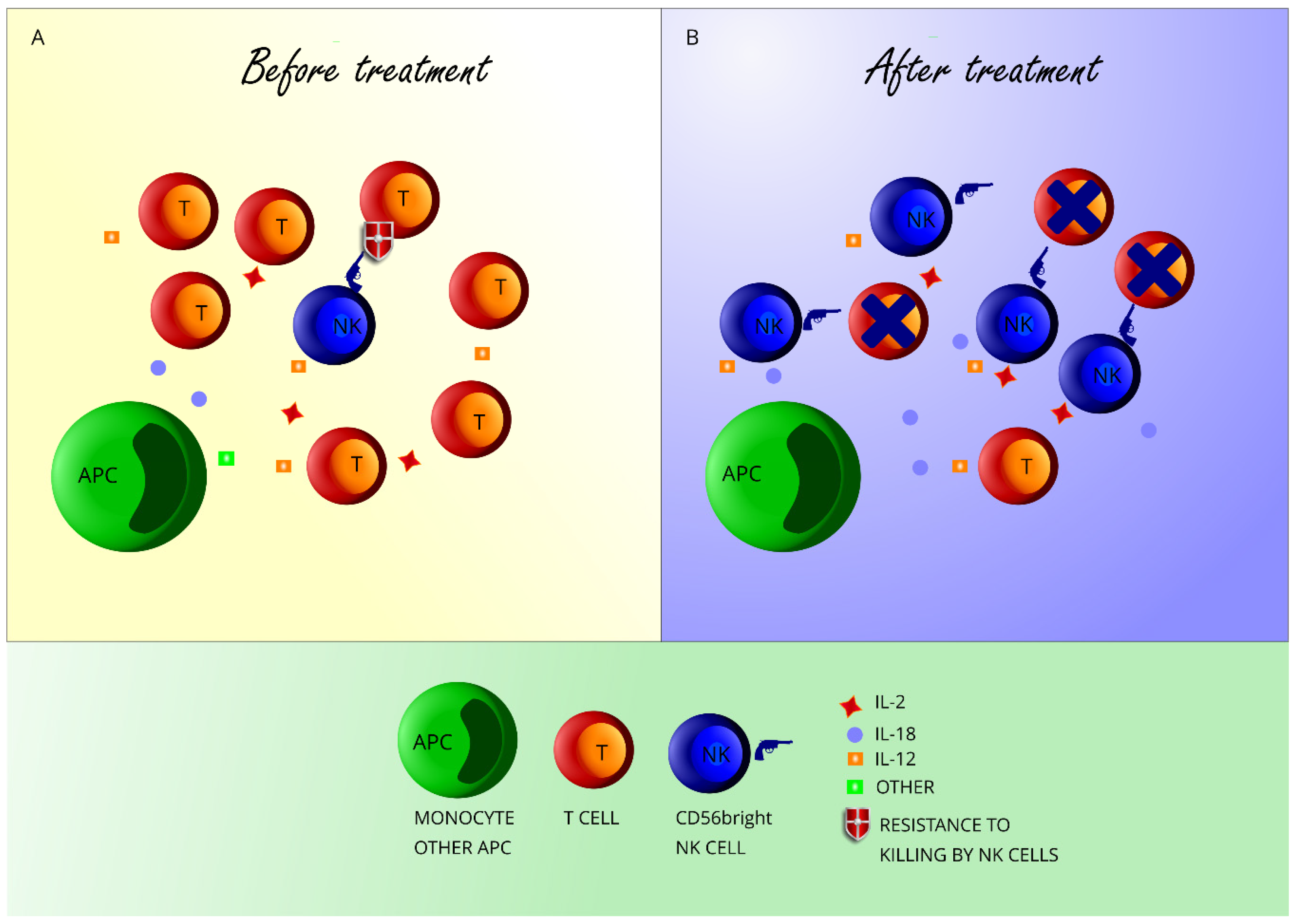 Jcm 09 01450 g001 Jcm 09 01450 g001