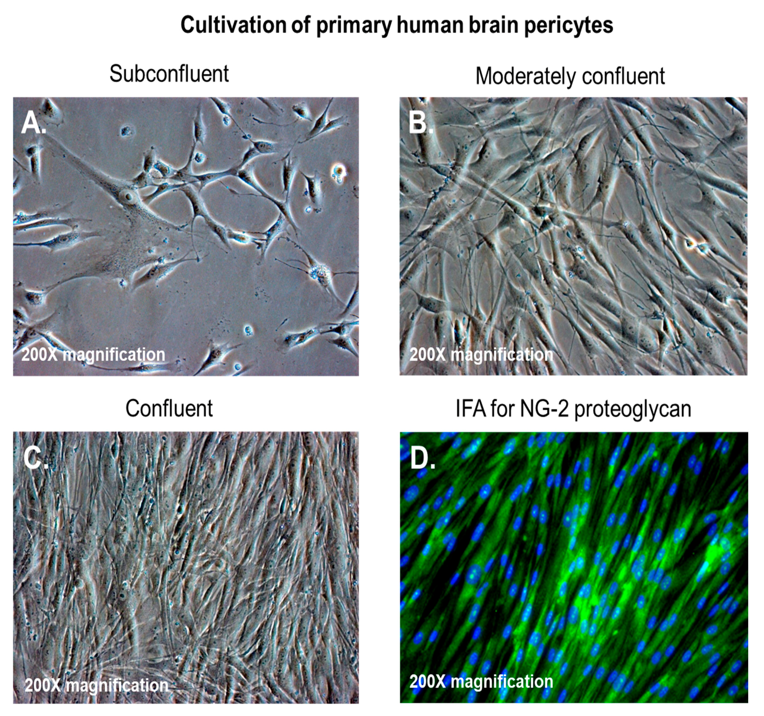 Jcm 09 01490 g001 Jcm 09 01490 g001