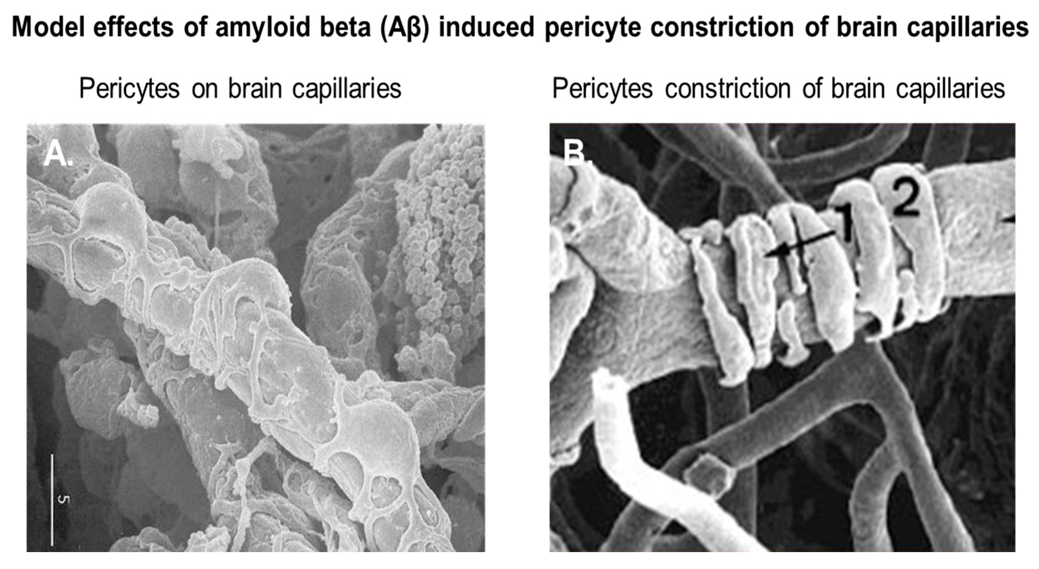 Jcm 09 01490 g002 Jcm 09 01490 g002