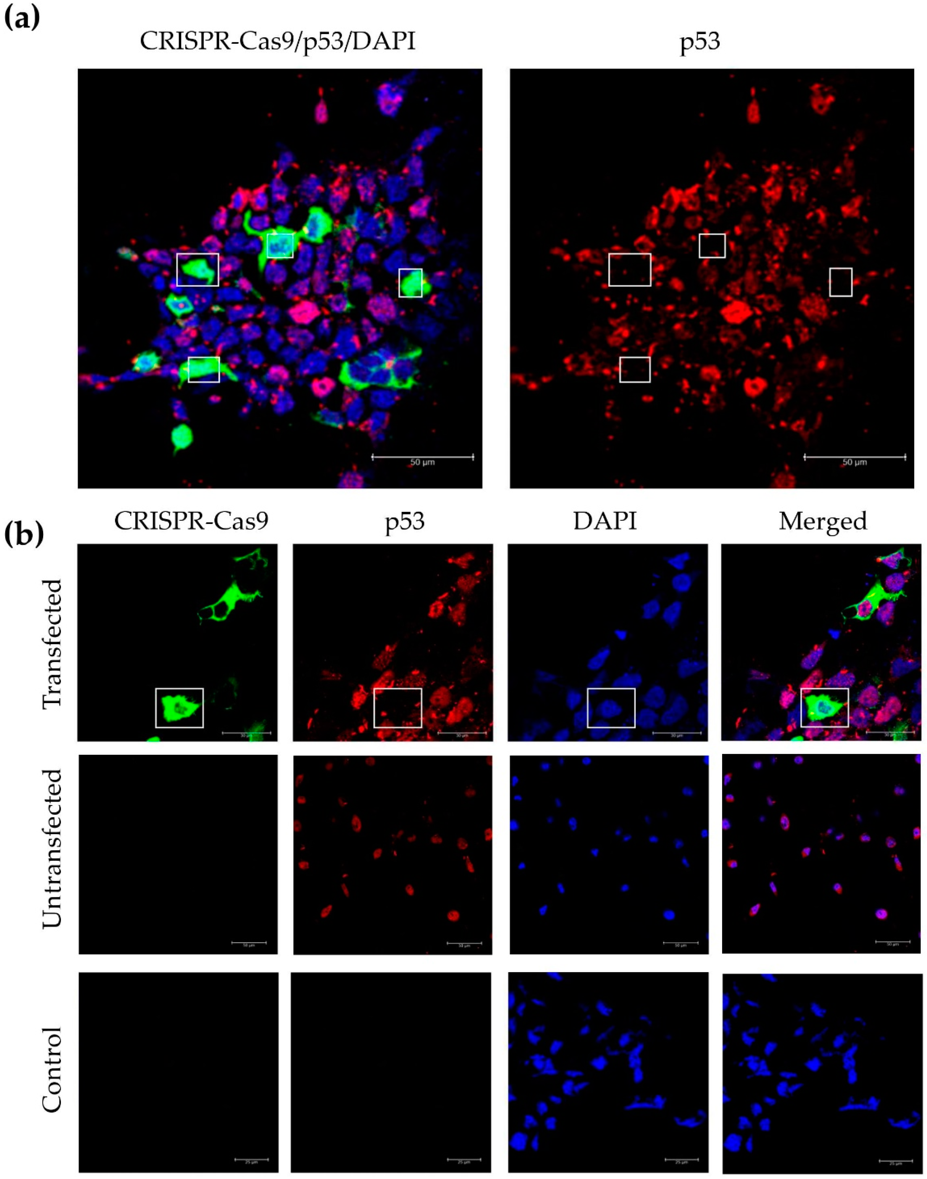 Jcm 09 01498 g007 Jcm 09 01498 g007