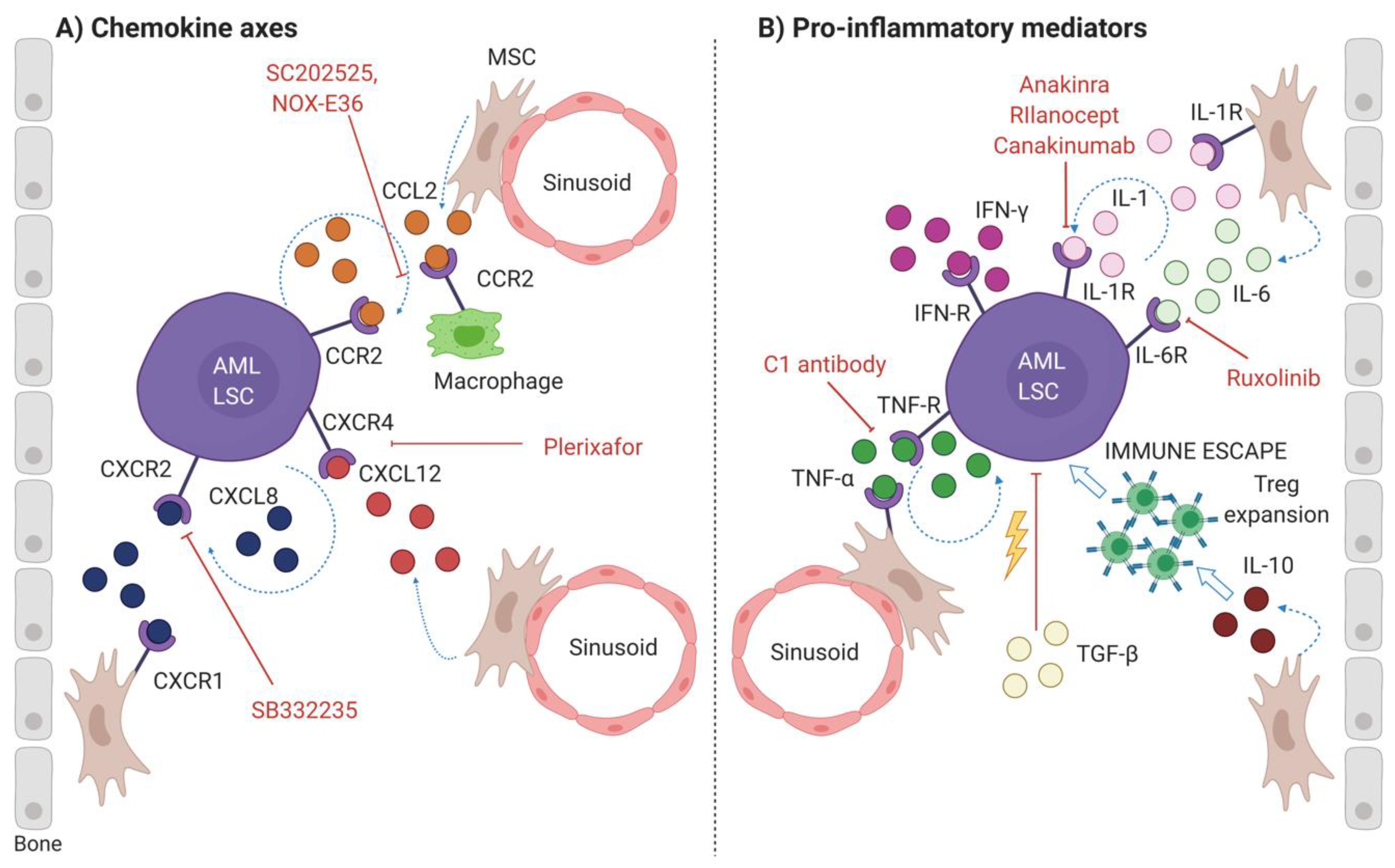 Jcm Free Full Text Location First Targeting Acute Myeloid Leukemia Within Its Niche Html