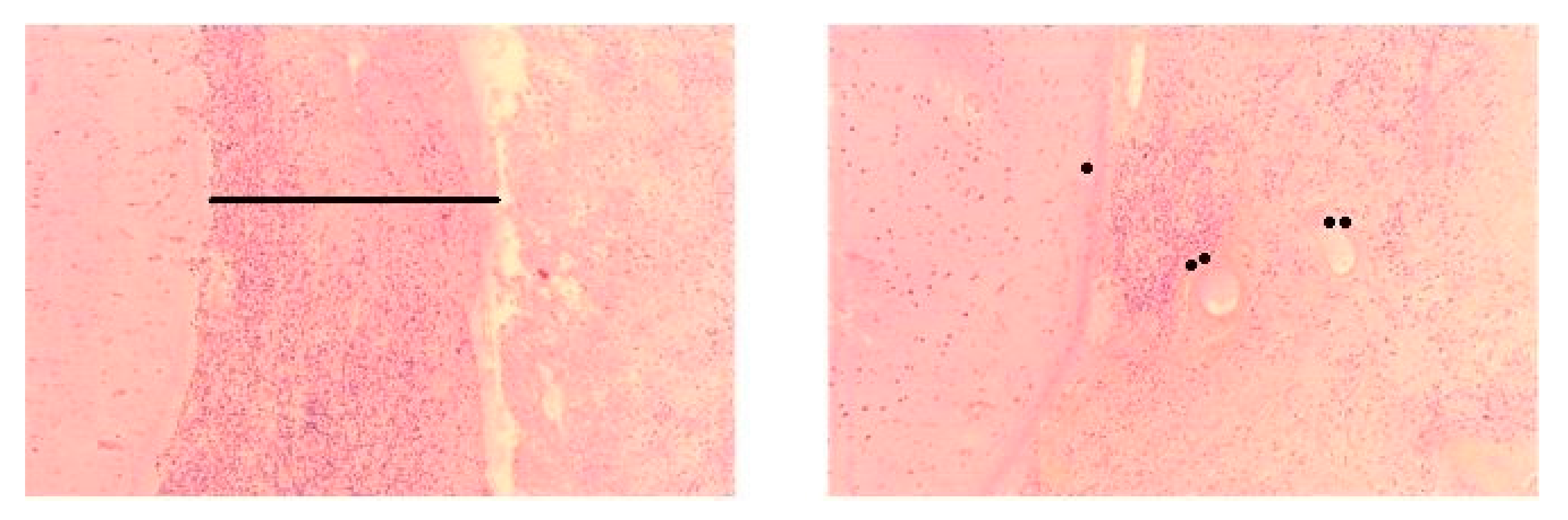 Jcm 09 01625 g002 Jcm 09 01625 g002